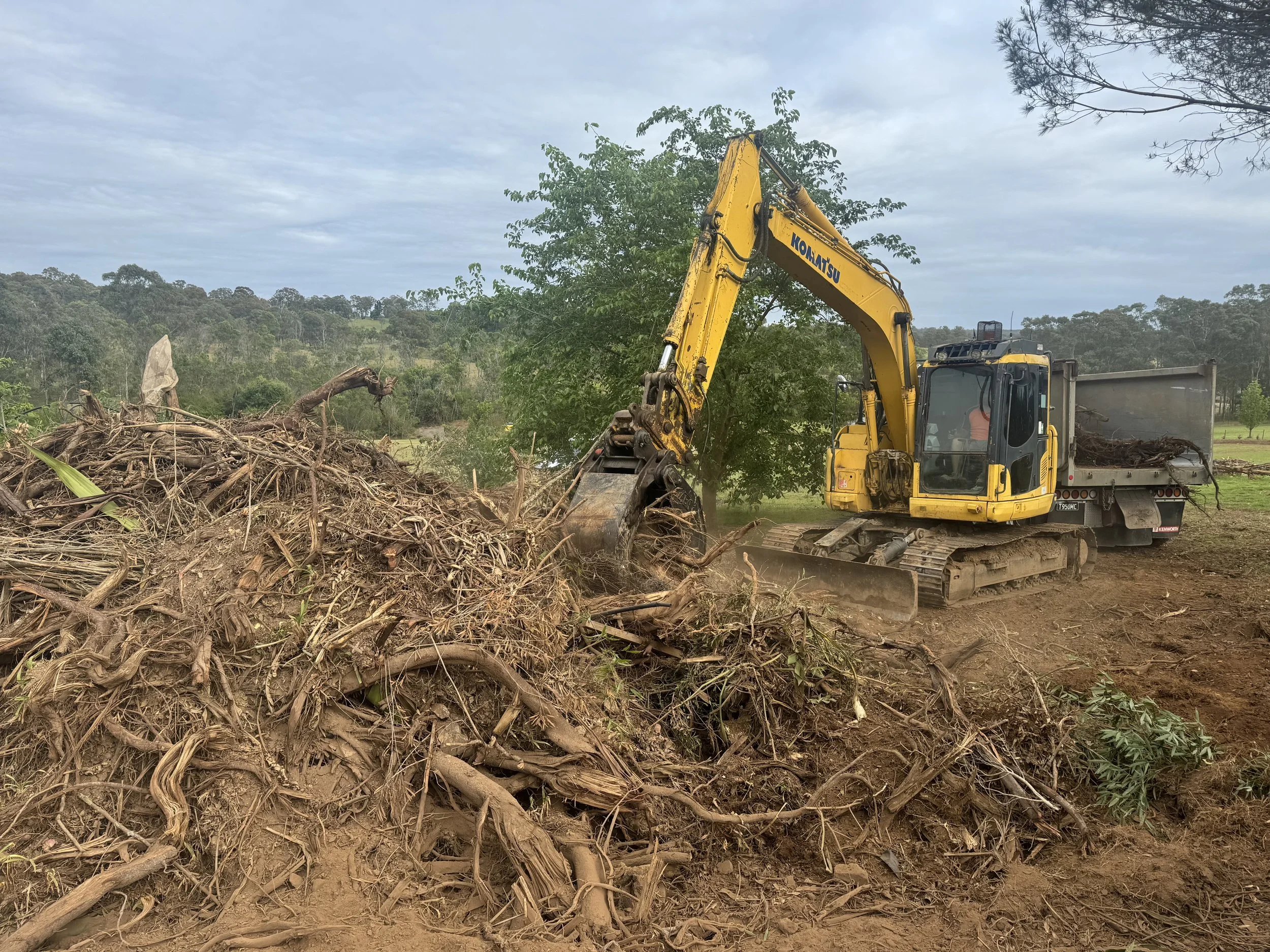 Land Clearing