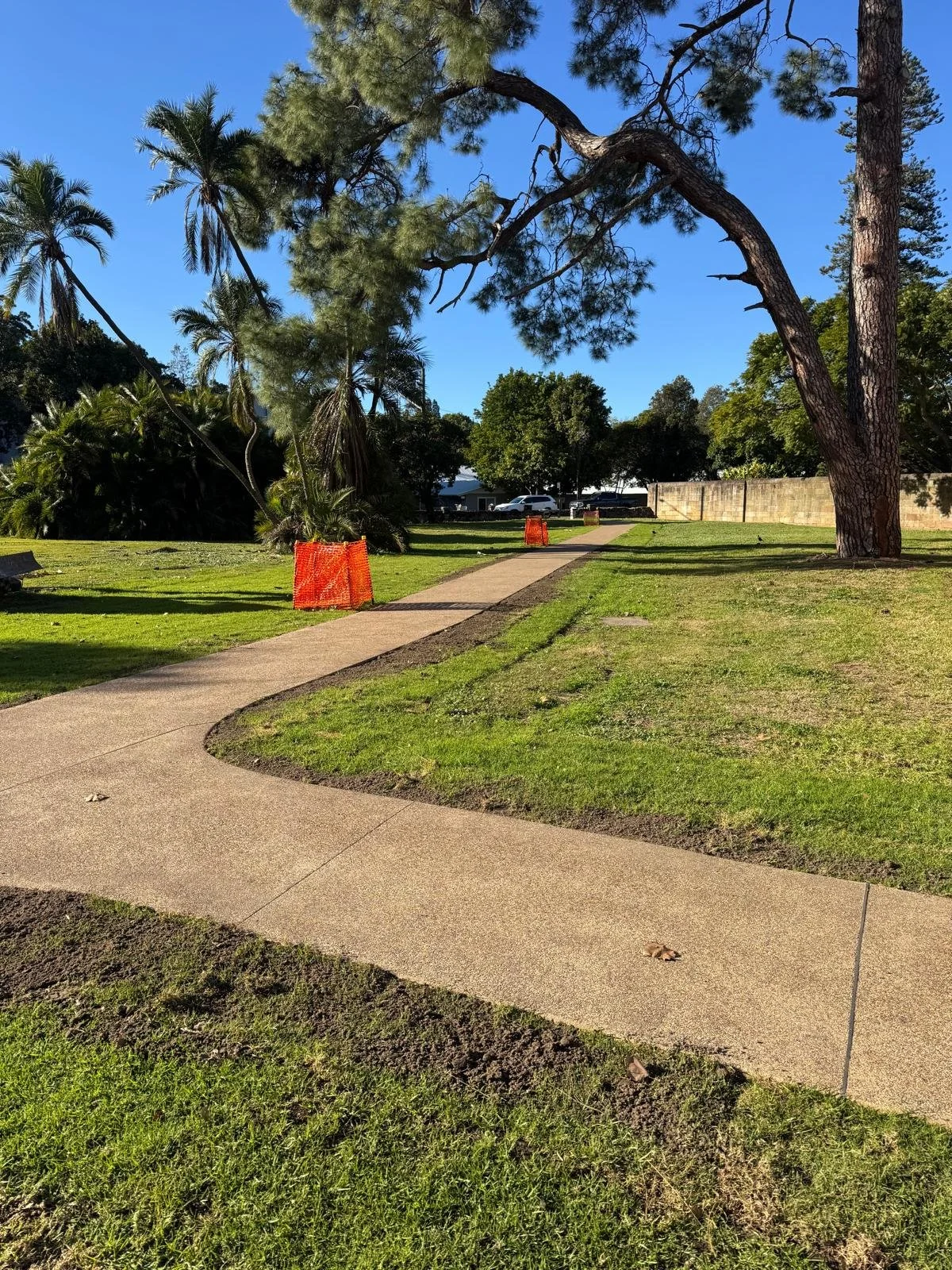 Parramatta Light Rail Paths (4).jpg