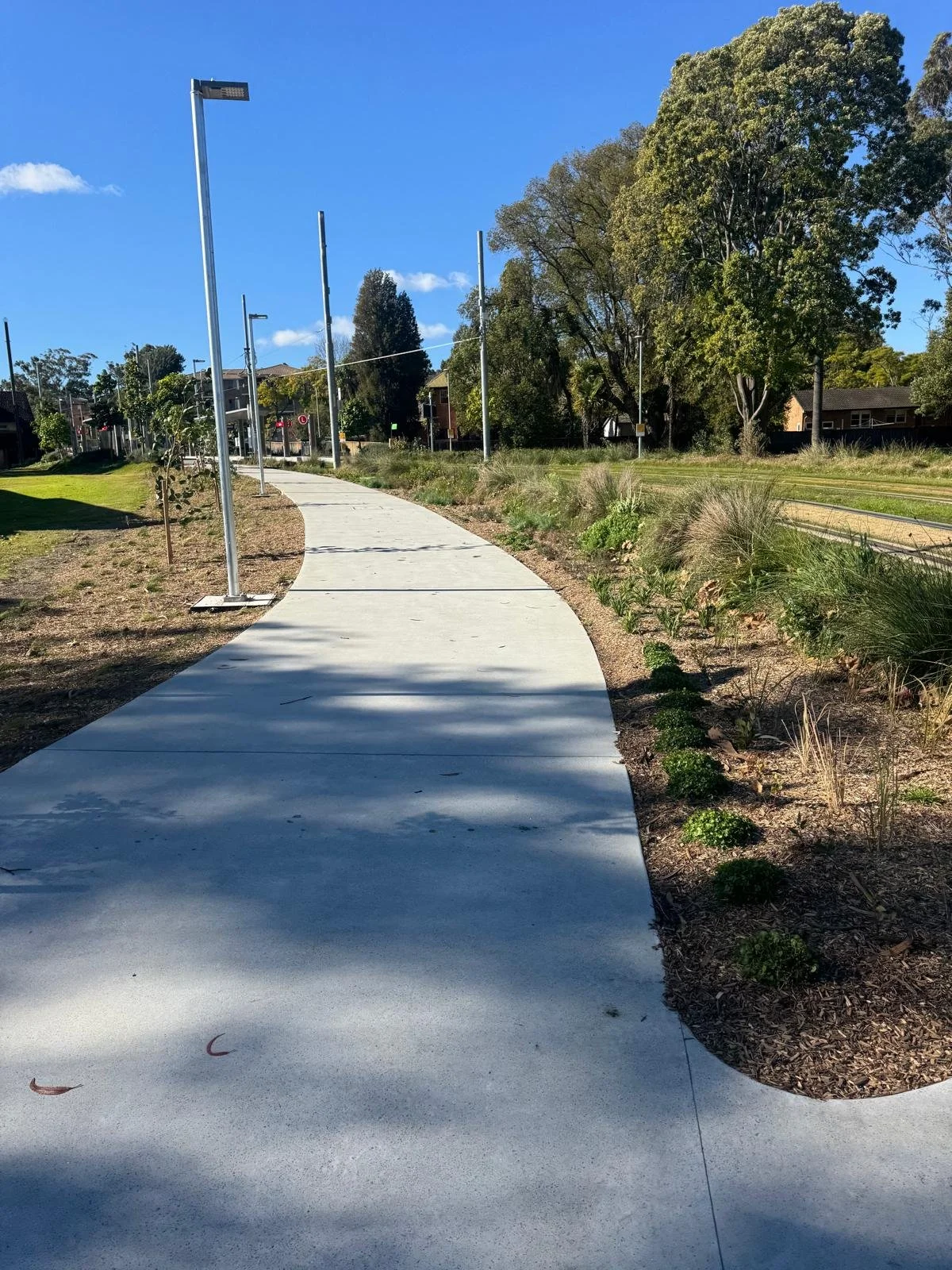 Parramatta Light Rail Paths (1).jpg