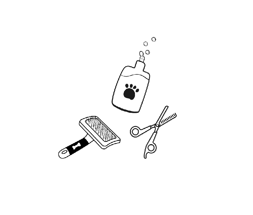 Holistic dog grooming tools including natural spray bottle, scissors and comb - Skye & Paws
