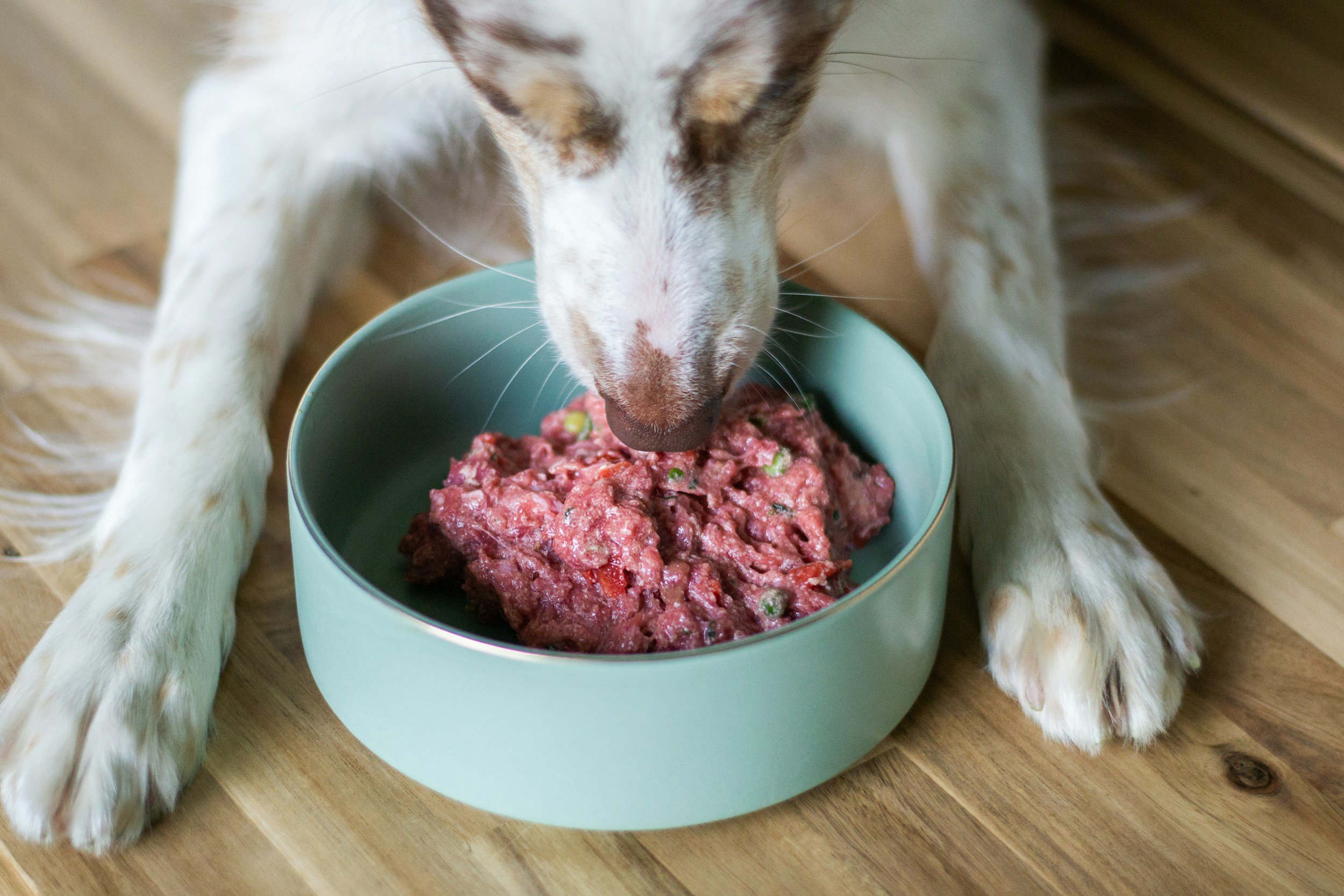 Understanding Raw: Why Every Raw Food Isn't the Same