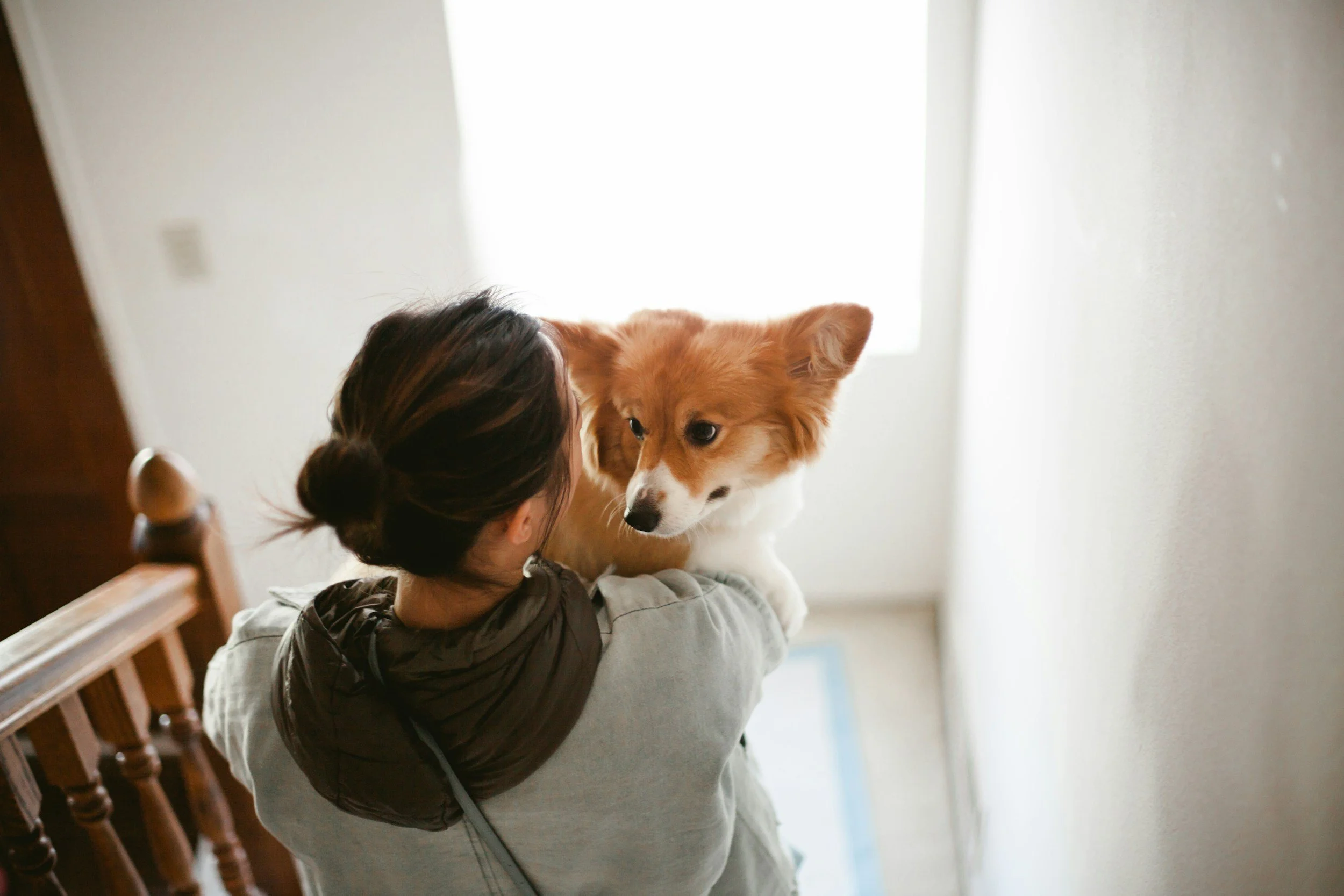 Choosing the Right Dog for You: Beyond Just Falling in Love
