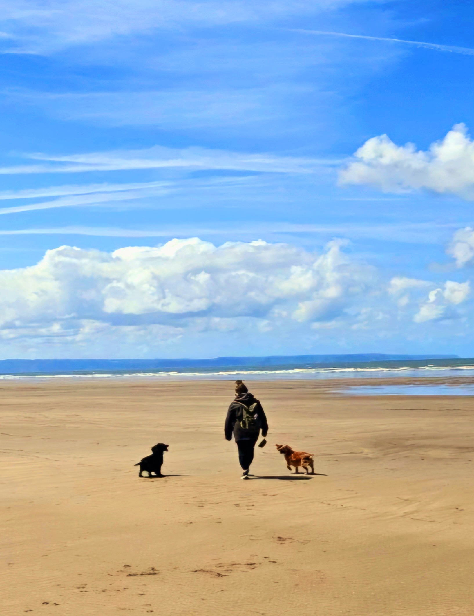 Skye walking Lily and Grace on a beach — Skye & Paws holistic pet care
