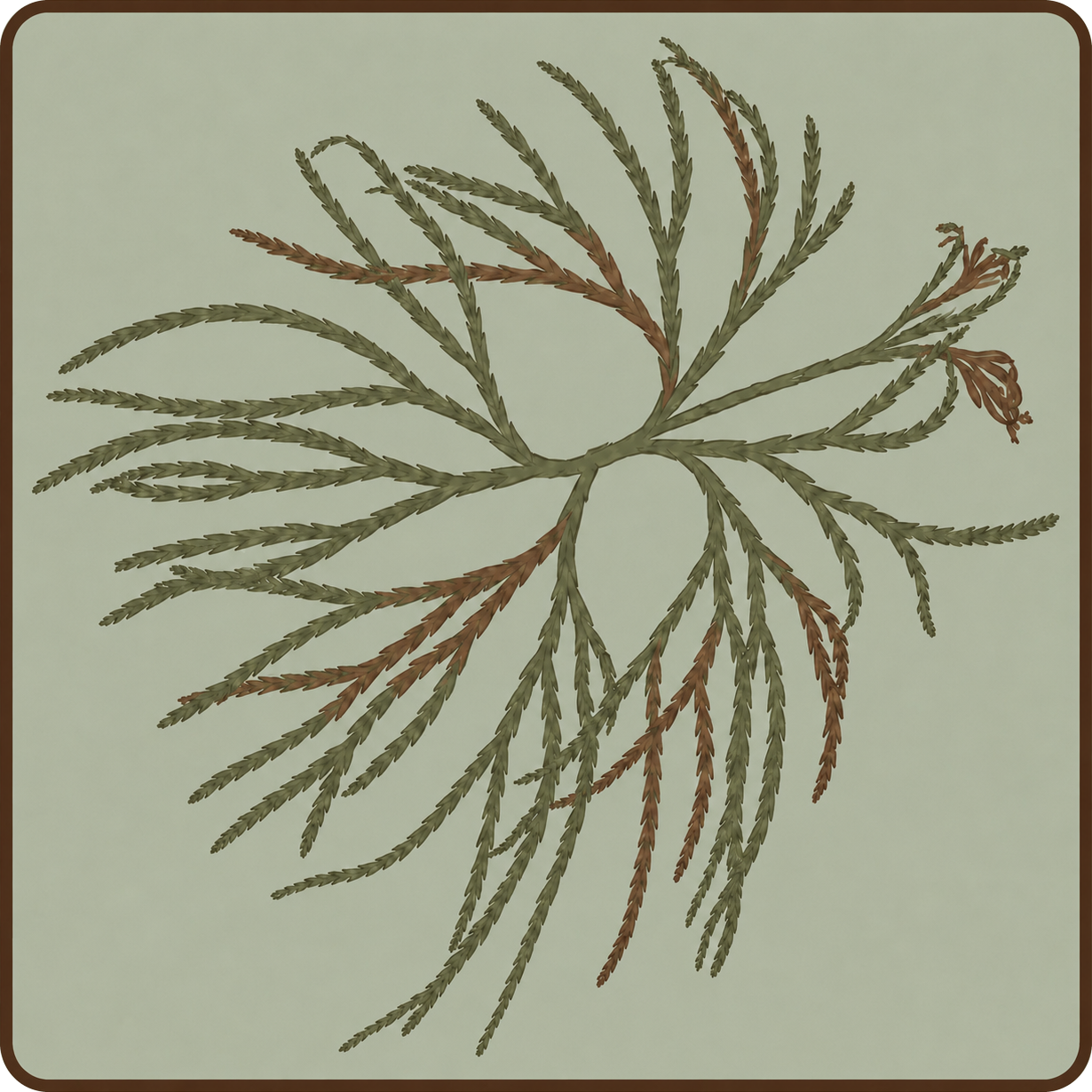 Running Cedar Massage Therapy