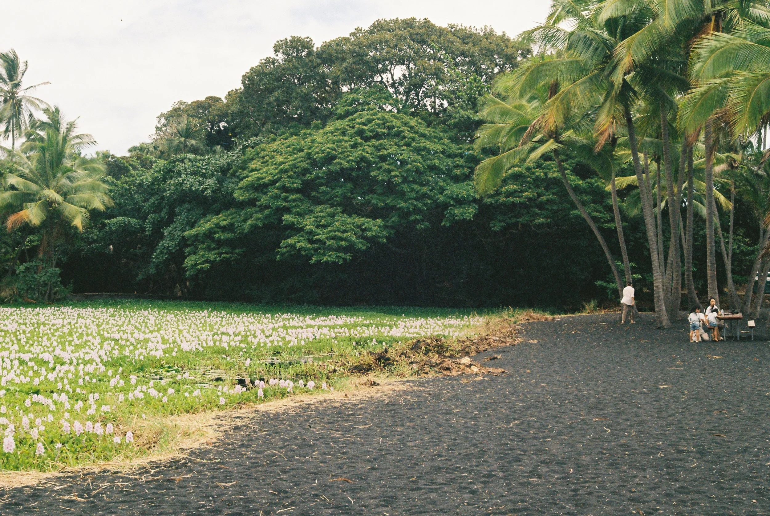 0cru033_0cru033-R2-007-2.jpg.jpg