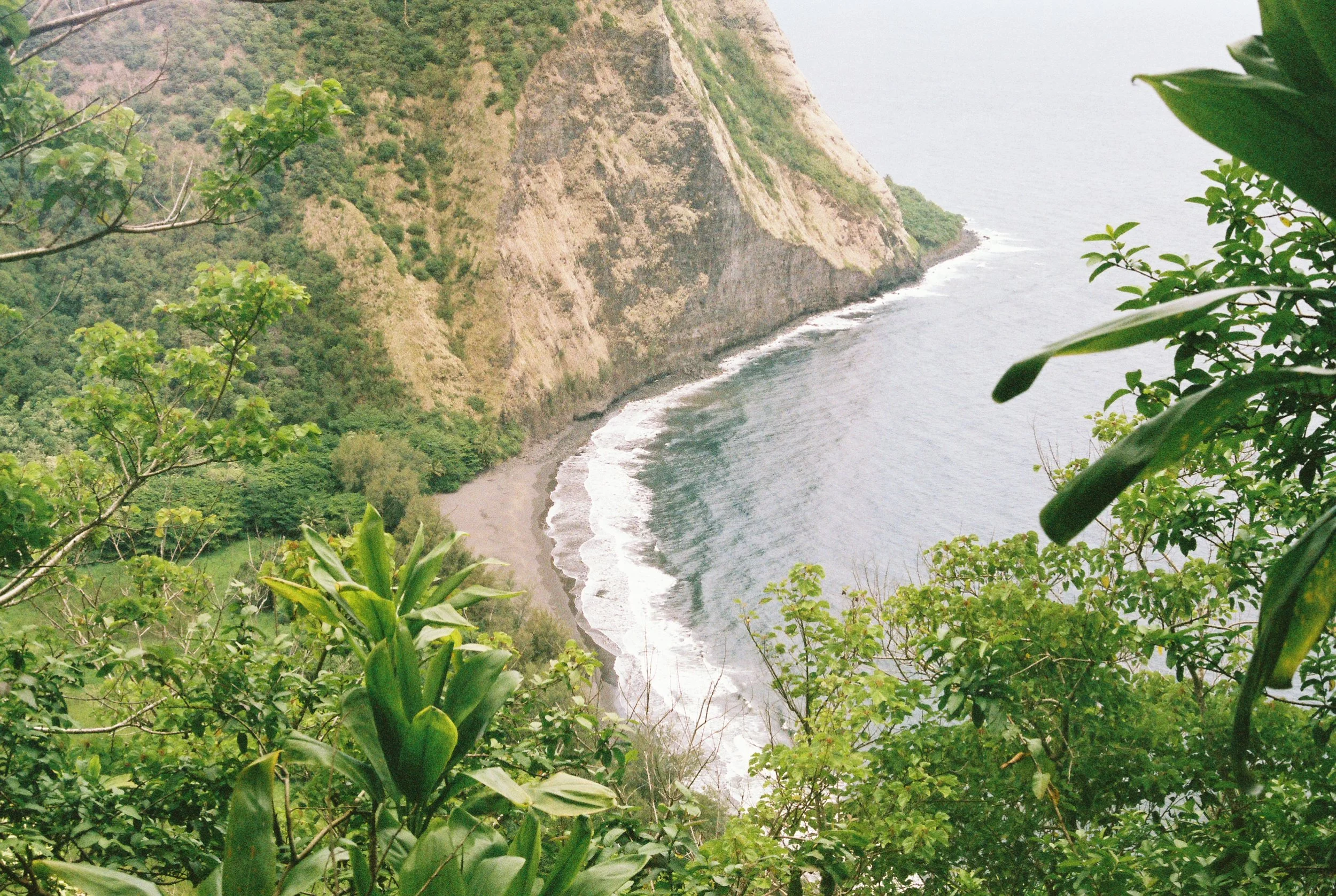 0cru033_0cru033-R5-012-4A.jpg.jpg