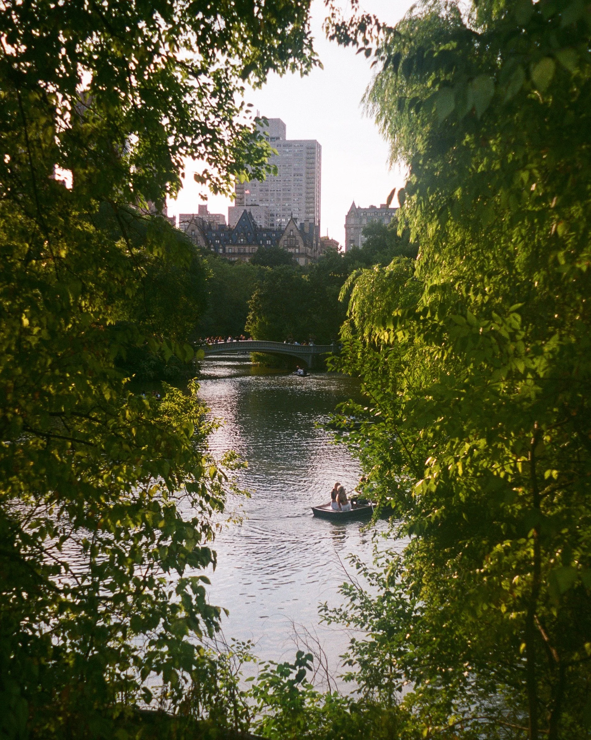 7F9024F1-4DE7-492C-A03E-FCD4931076CF.jpg