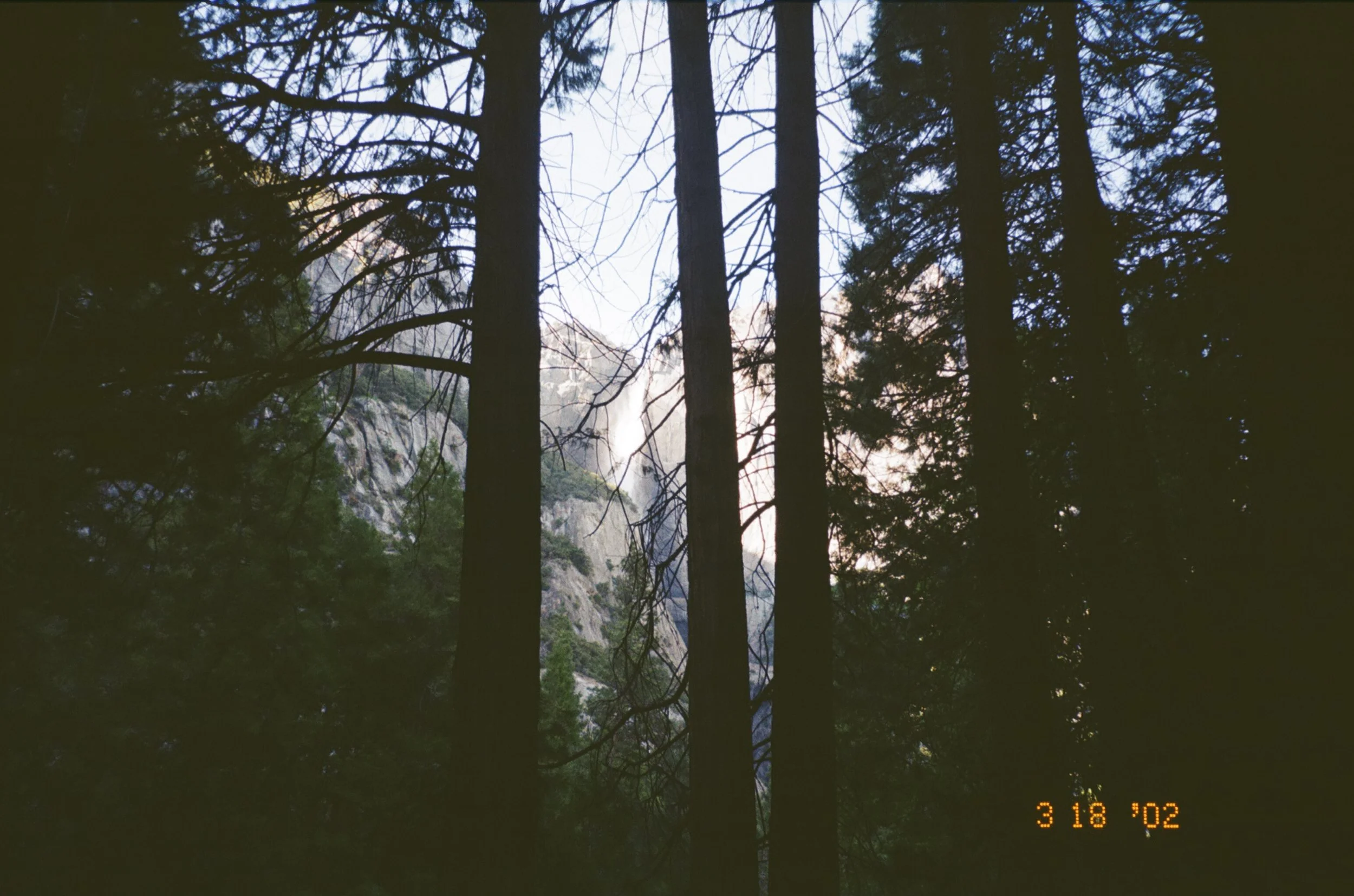 000017720023.jpg.jpg