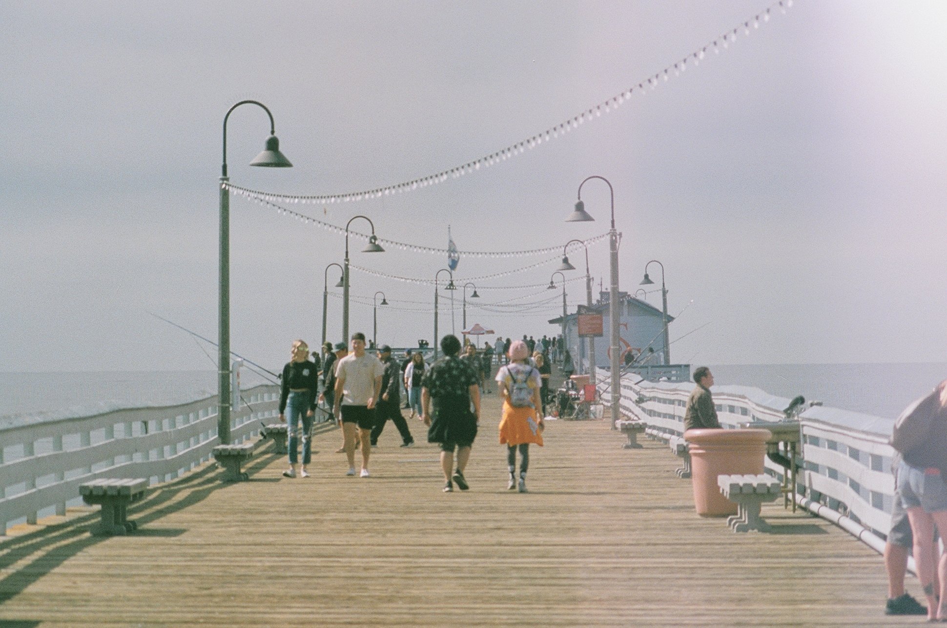 24420019.JPG.JPG