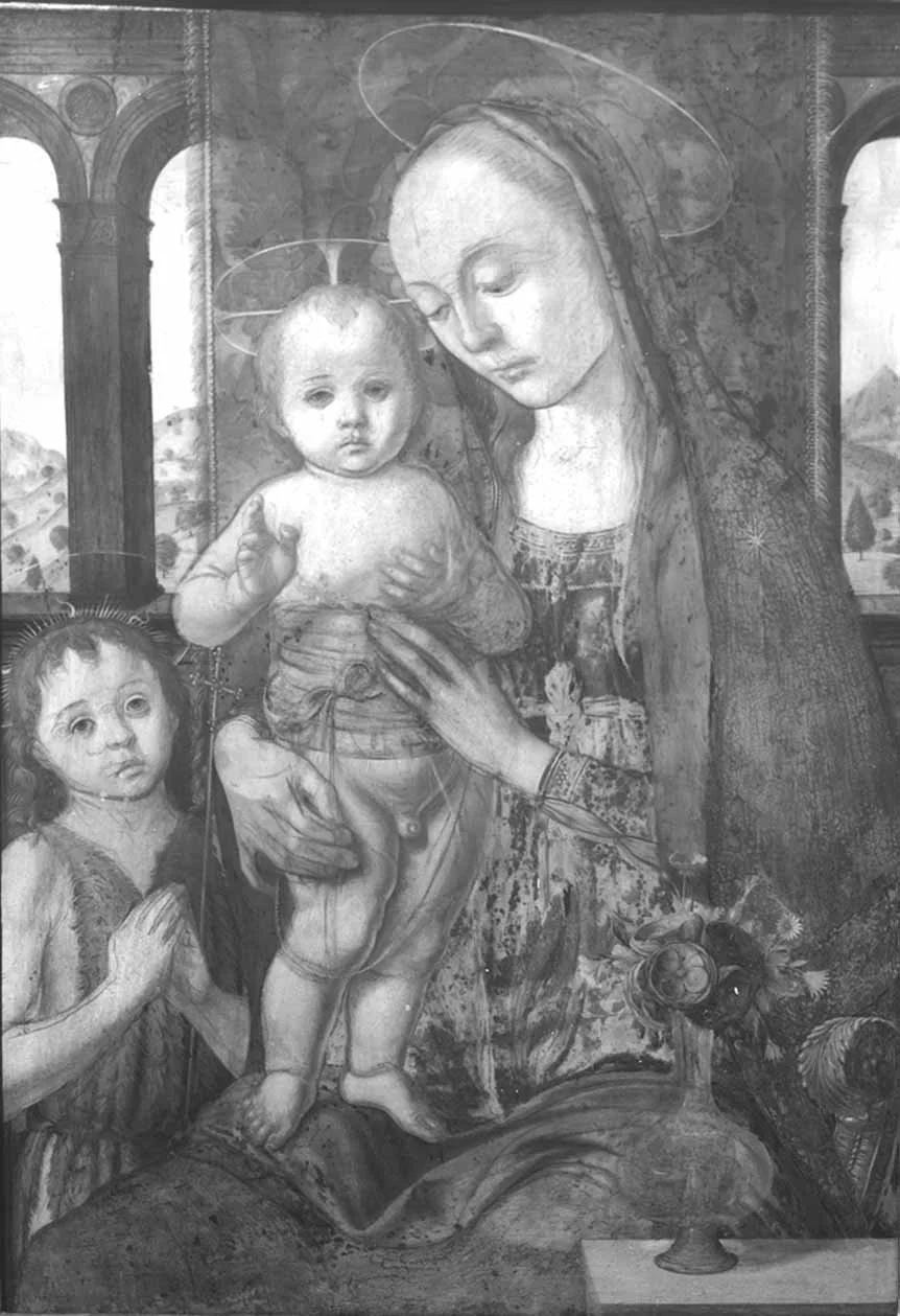 Vergine con Bambino IR 900 Comp Rid.jpg