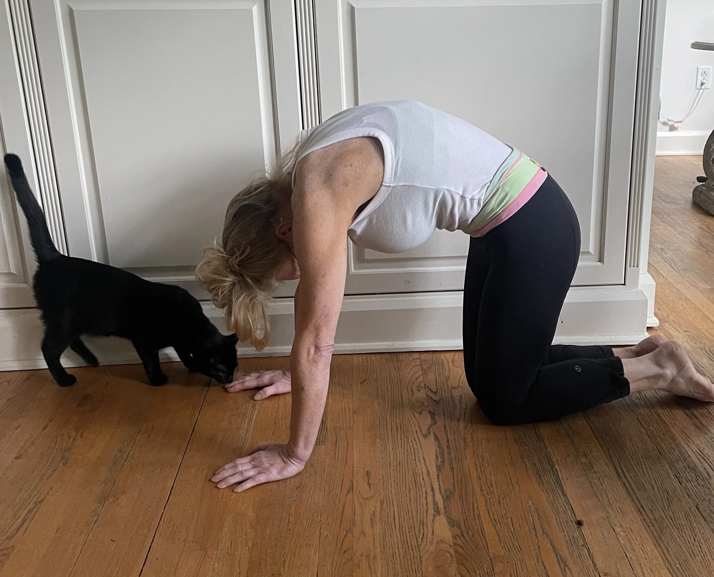 woman and cat in cat-cow stretch pose with a black cat copying her