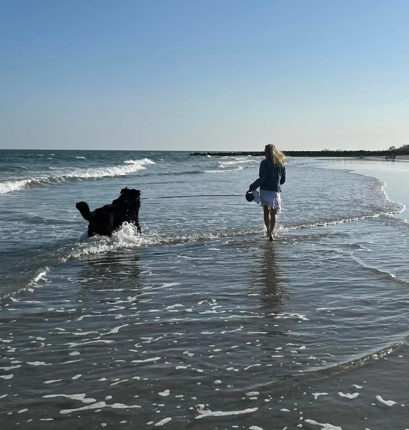 woman and dog walking in the surf with backs to camera