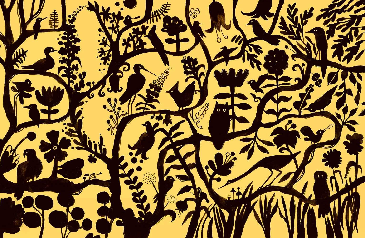 Portfolio_Birdlore_CaseCover_web_devon_holzwarth.jpg