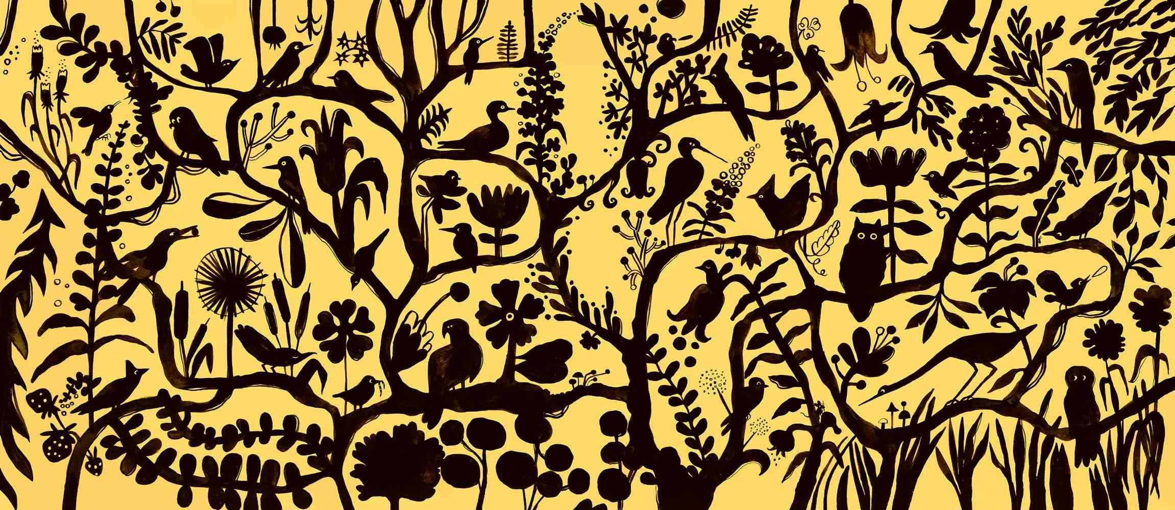 Portfolio_Birdlore_CaseCover_web_devon_holzwarth.jpg