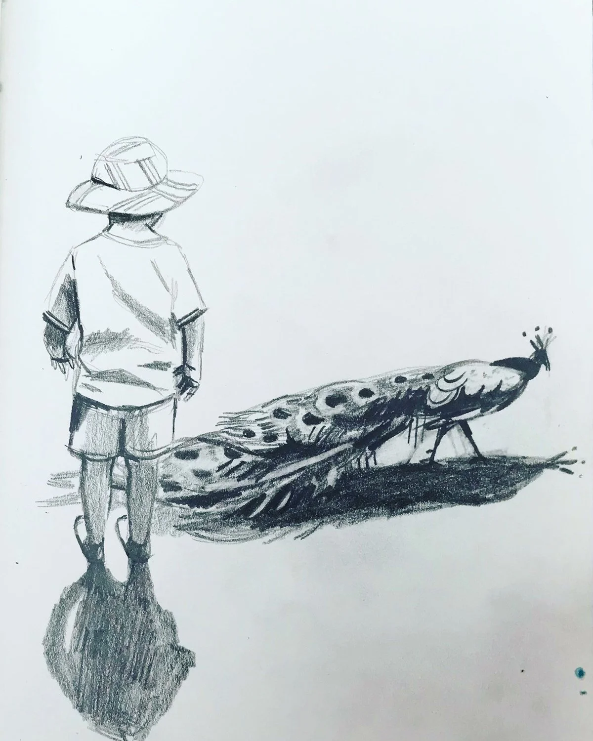 Sketchbook_peacock.jpg
