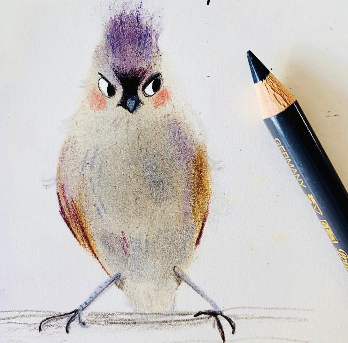 bird friend_devon_holzwarth.jpg