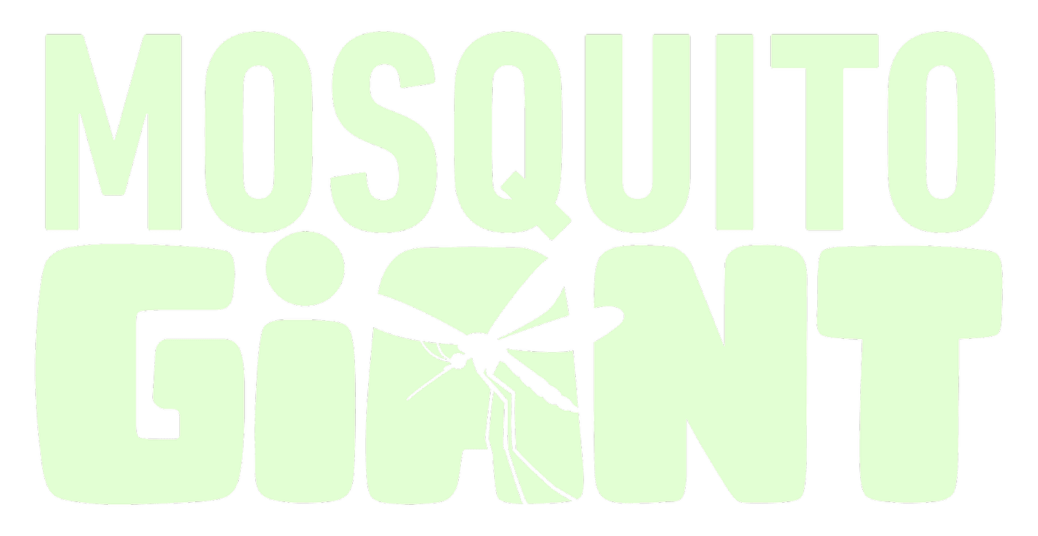Mosquito Giant