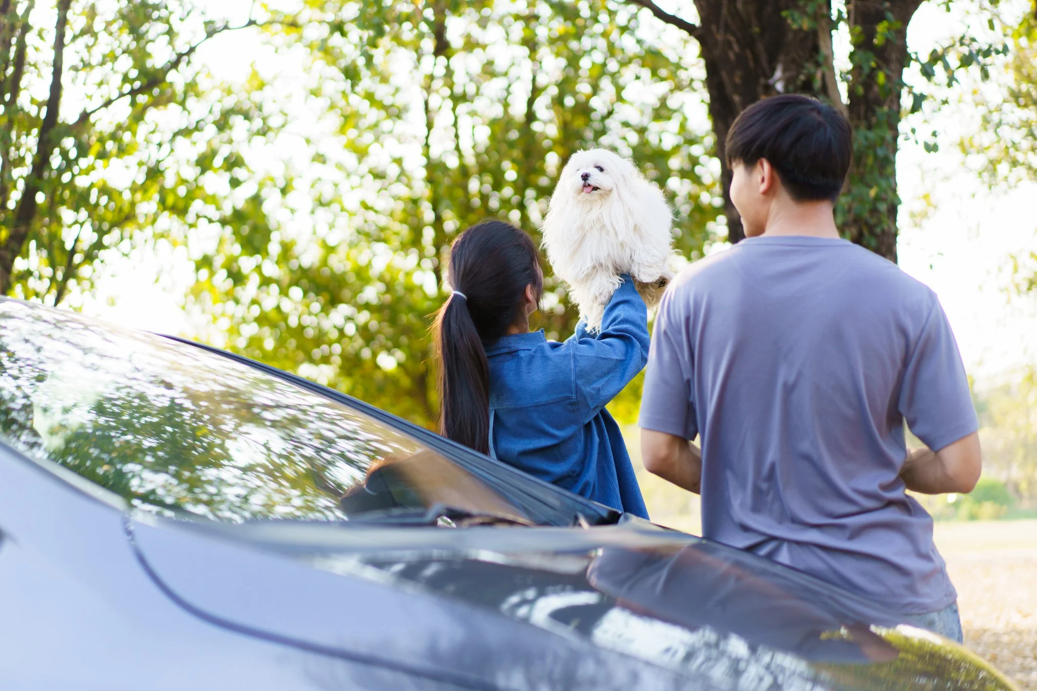 How to Choose the Right Vehicle When Travelling With Your Pet
