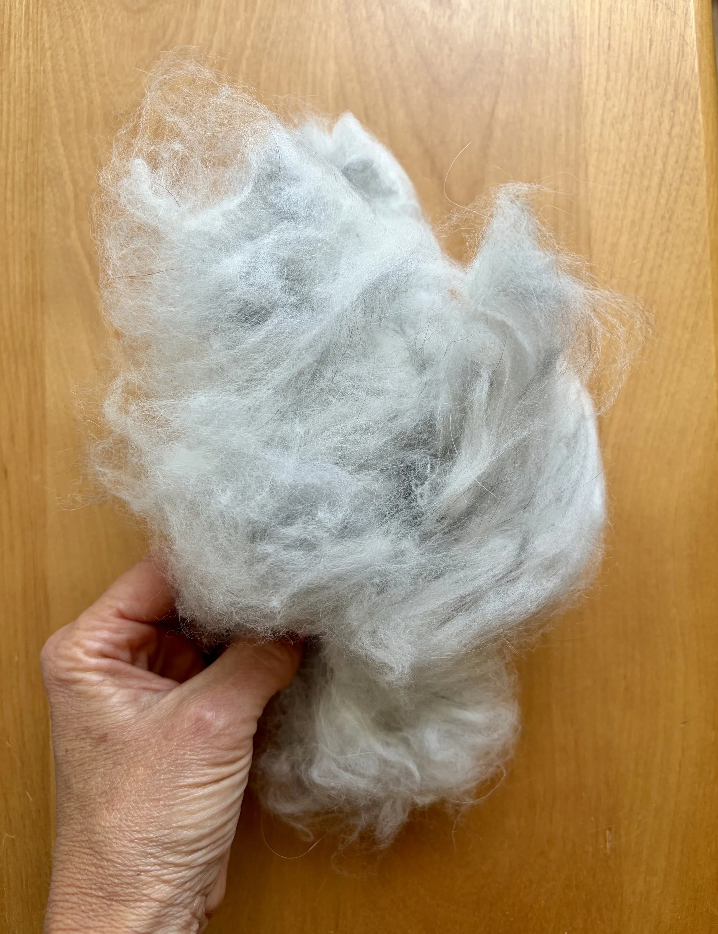 EnglishAngoraPatchesRawFiber.jpg