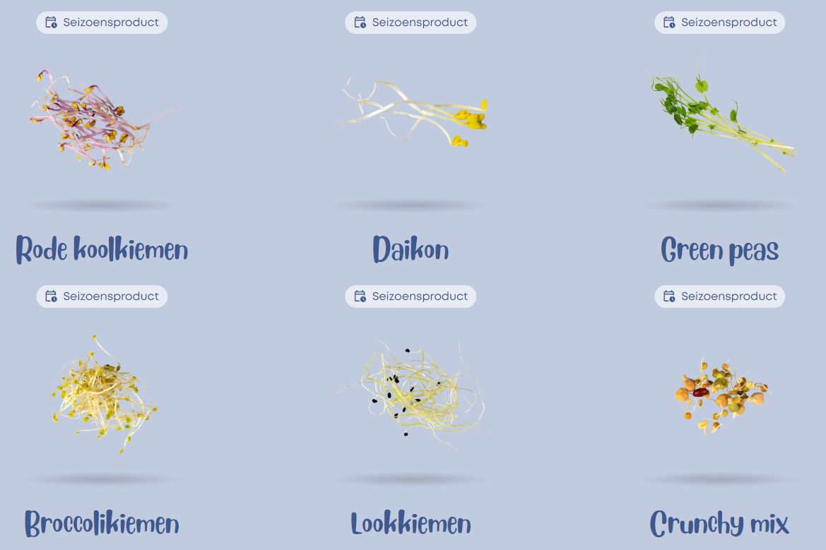 Kiemgroenten2.png