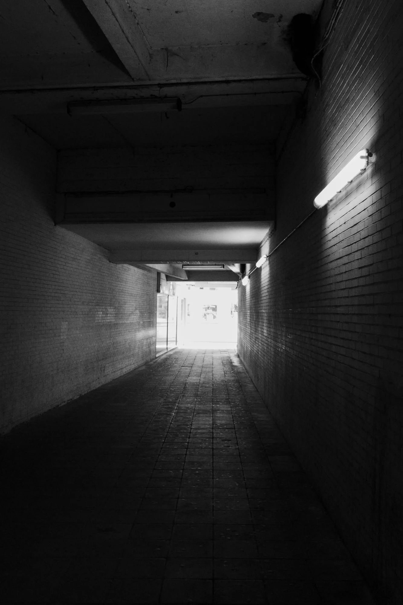 LF02_StaesKaydee_20220509_731.jpg