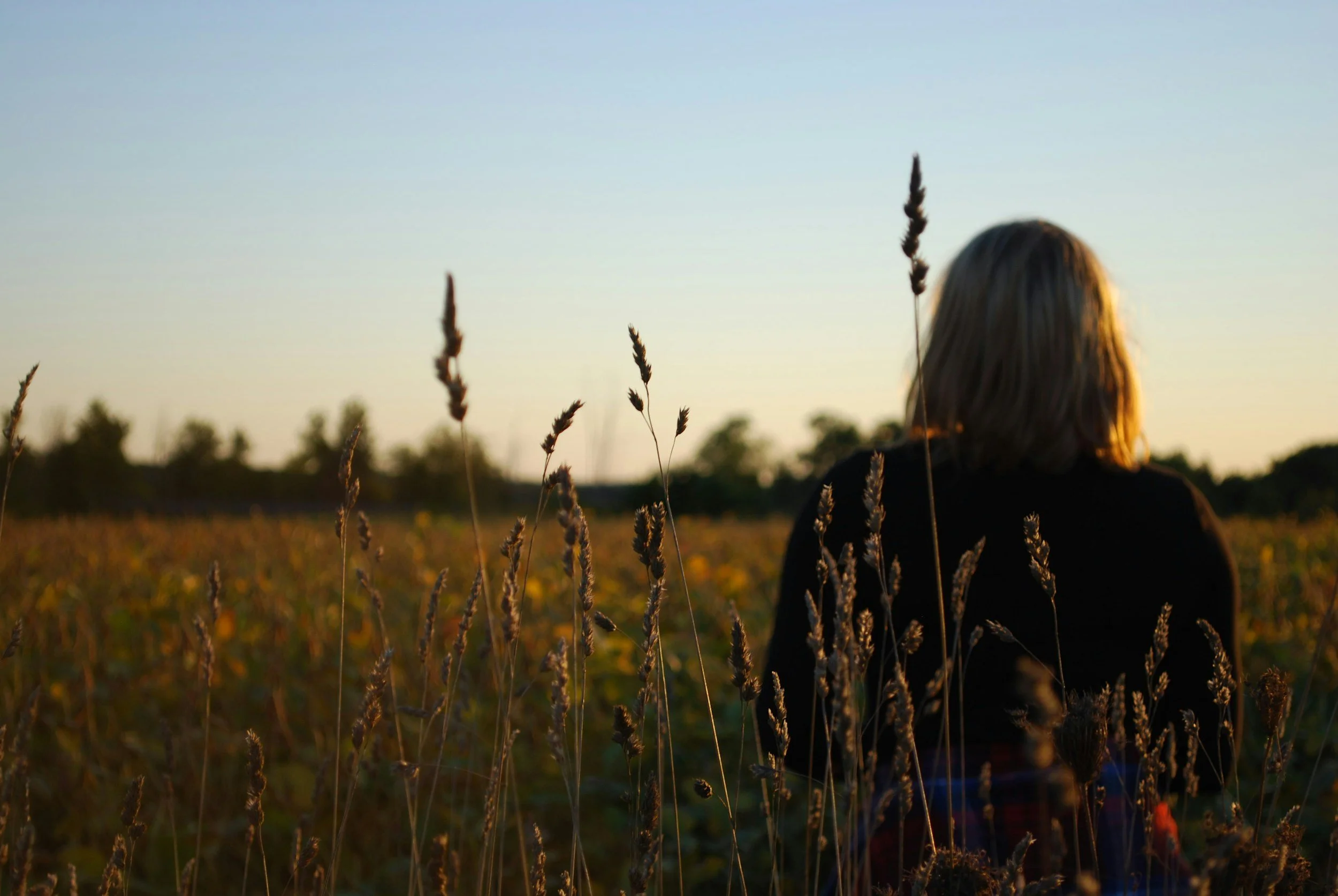 A person with blonde hair sitting in a field of tall grass at sunset, facing away from the camera.