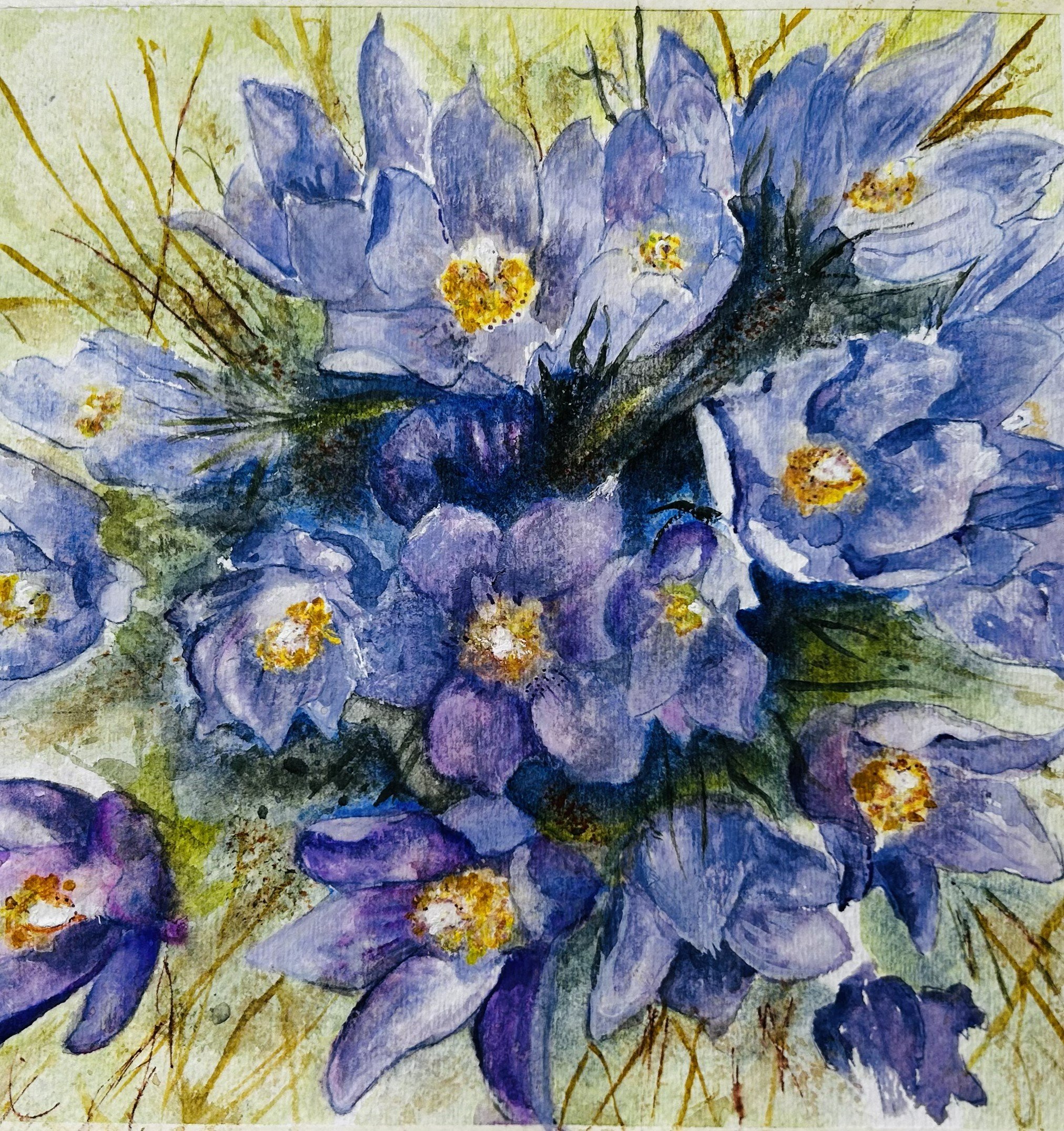 Prairie Crocuses in Tera’s Pasture