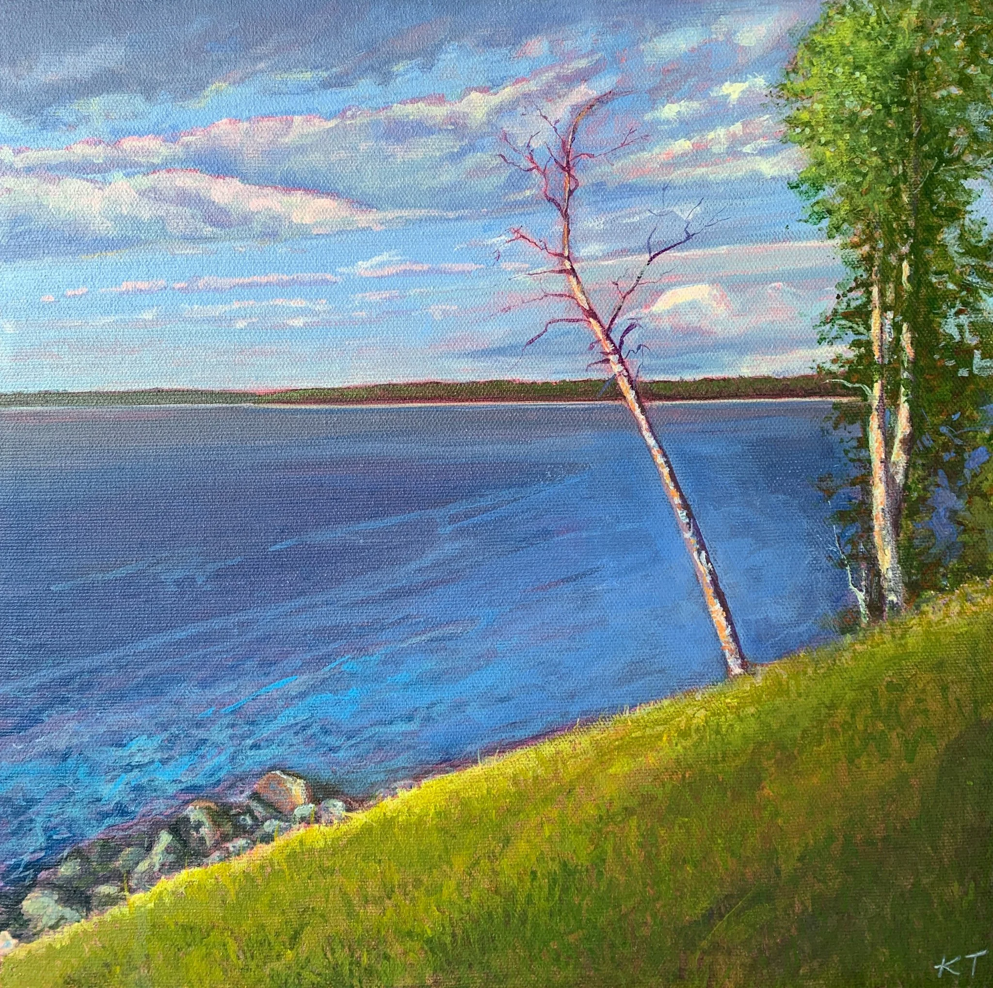 Leaning Birch