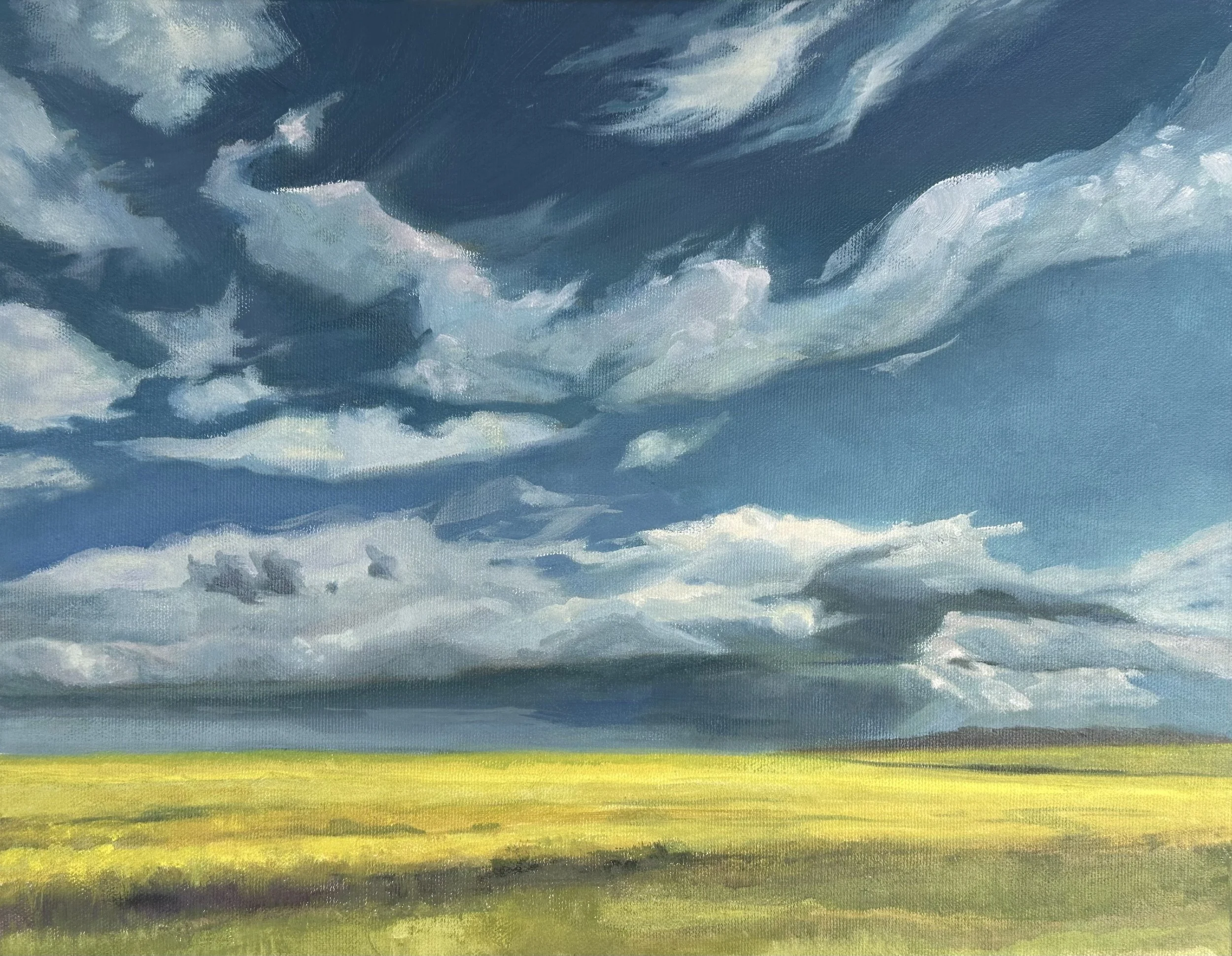 Prairie Skies