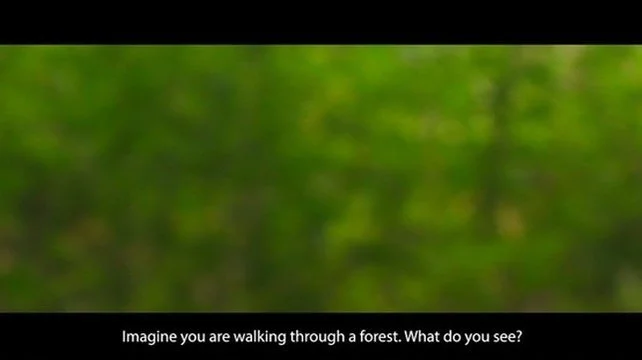 78C3EBCF-3D29-4162-BE41-018B08F6F300_4_5005_c.jpeg