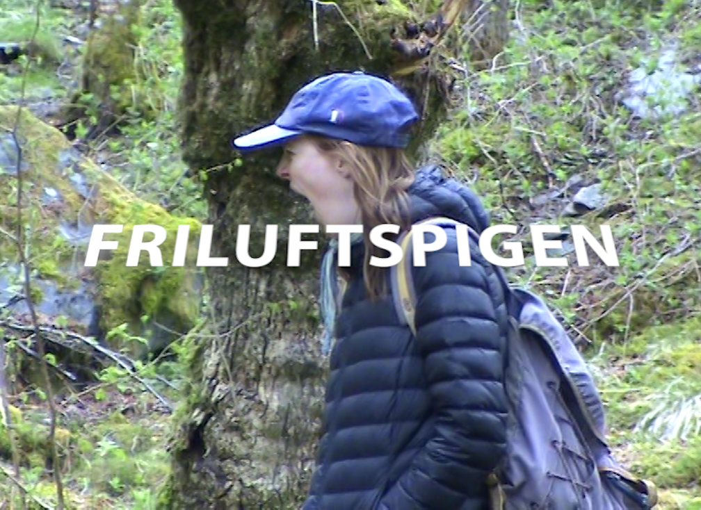 Skærmbillede 2025-05-21 kl. 22.58.29.png