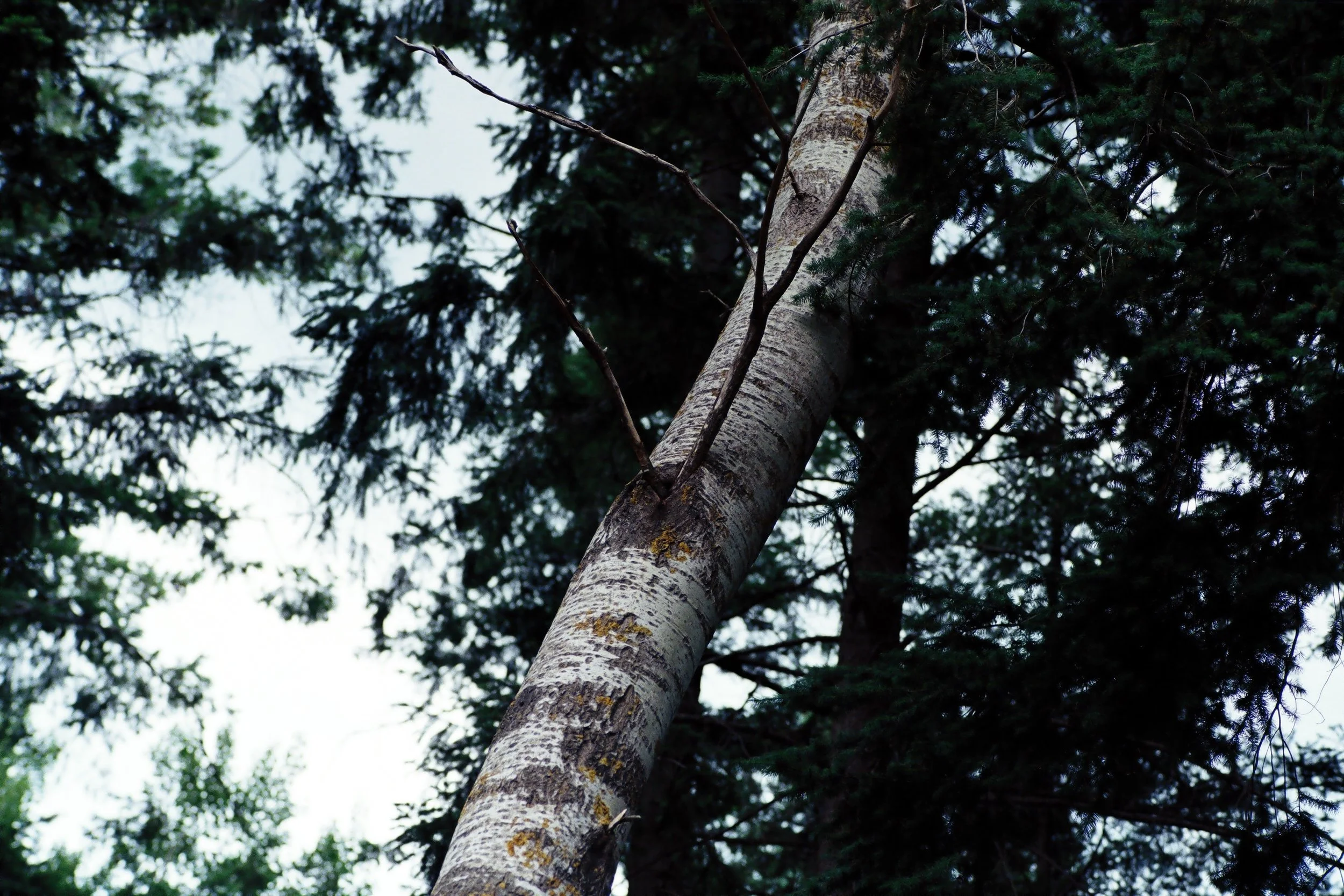 r001-013.JPG