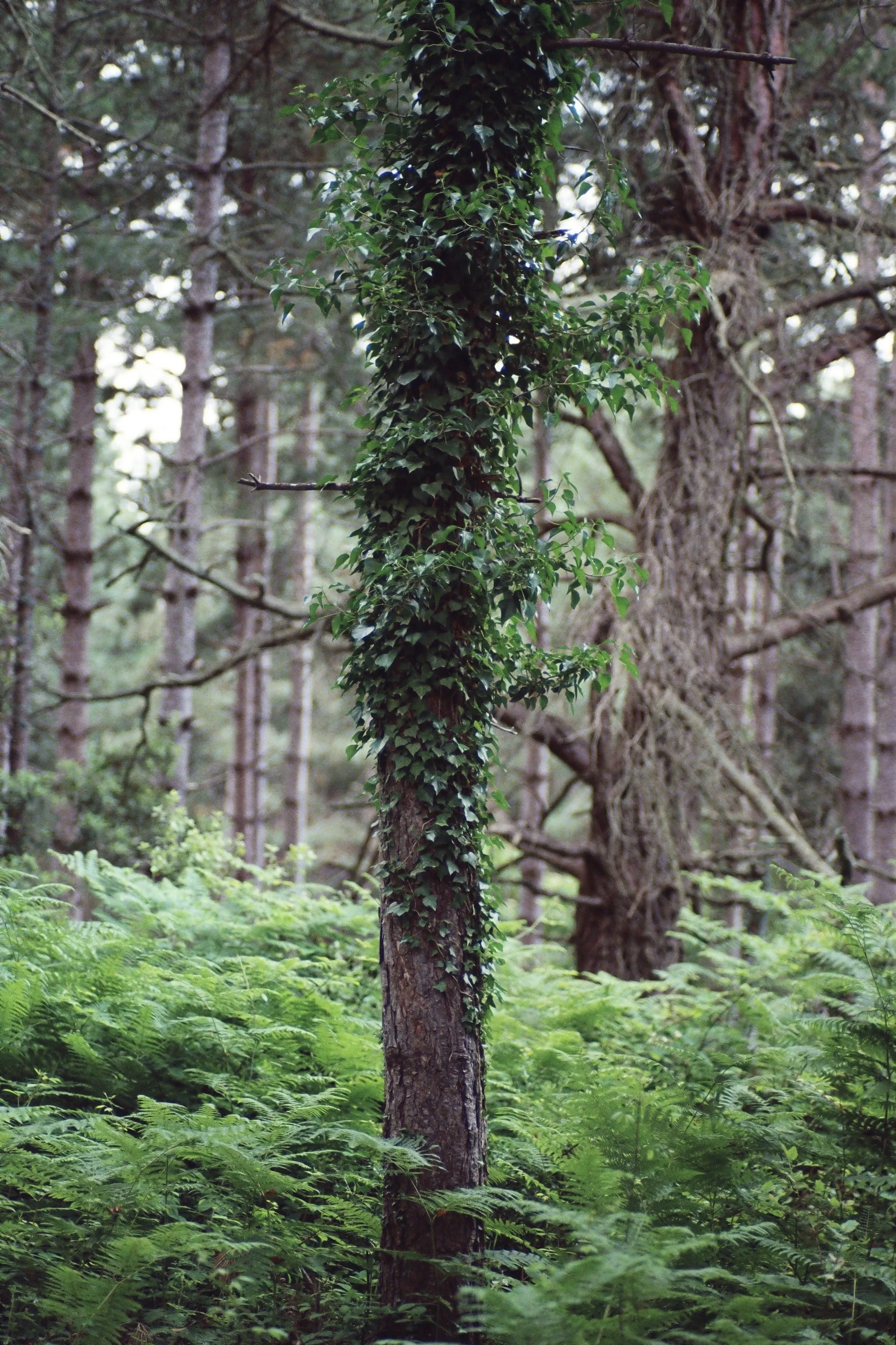r001-011.jpg