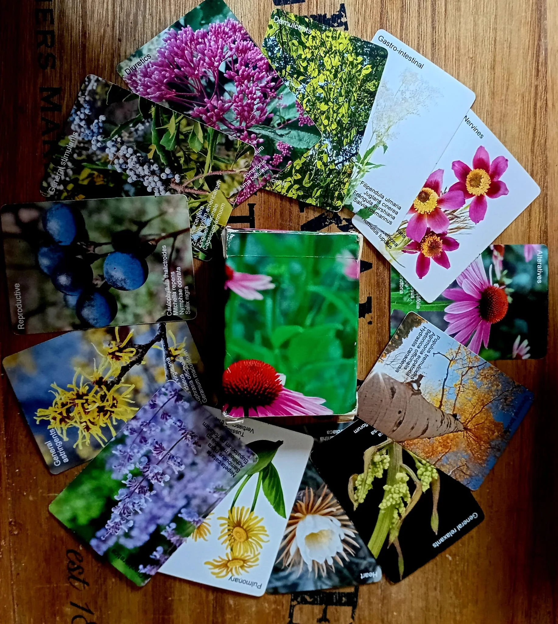 Materia Medica Card Game
