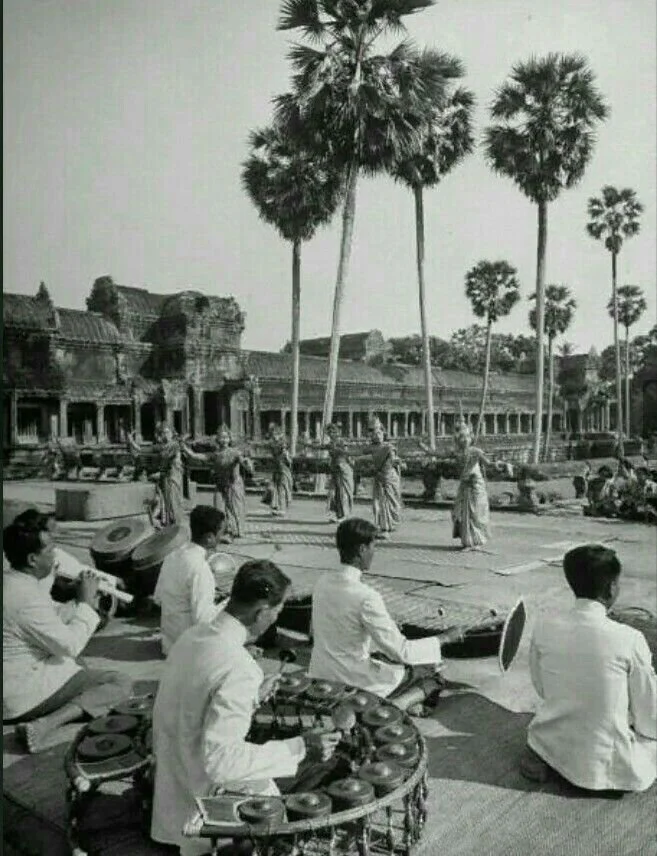 Traditional musical performance with men playing instruments and dancers performing under tall palm trees