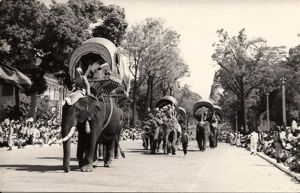 Vintage parade with elephants carrying elaborate covered floats, spectators lining the streets, and tall trees lining the parade route.