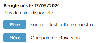 Texte indiquant la date de naissance d'un bébé, la disponibilité de chiots, et des descriptions de deux chiots avec leurs noms et races.