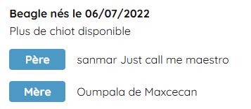 Informations sur des bébés nés en juillet 2022, mentionnant la disponibilité de chiots, avec des noms de mère et père.
