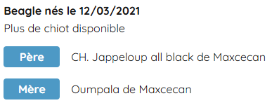 Informations sur la naissance d'un Beagle le 12 mars 2021, indiquant plus de chiots disponibles, avec détails du père, CH. Jappeloup, et de la mère, Oumpala.
