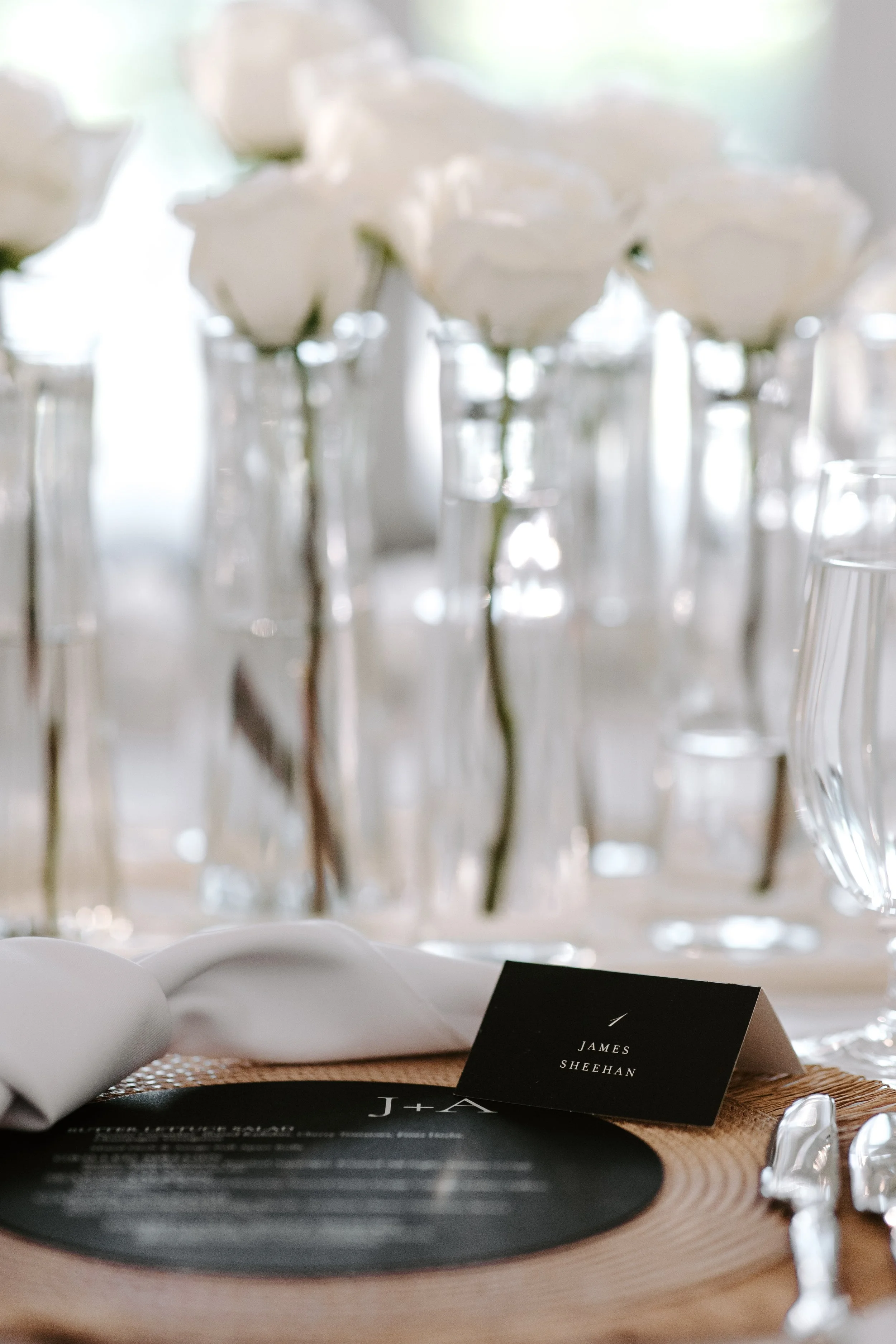ChicagoHistoryMuseumWeddingPhotographer-102.jpg