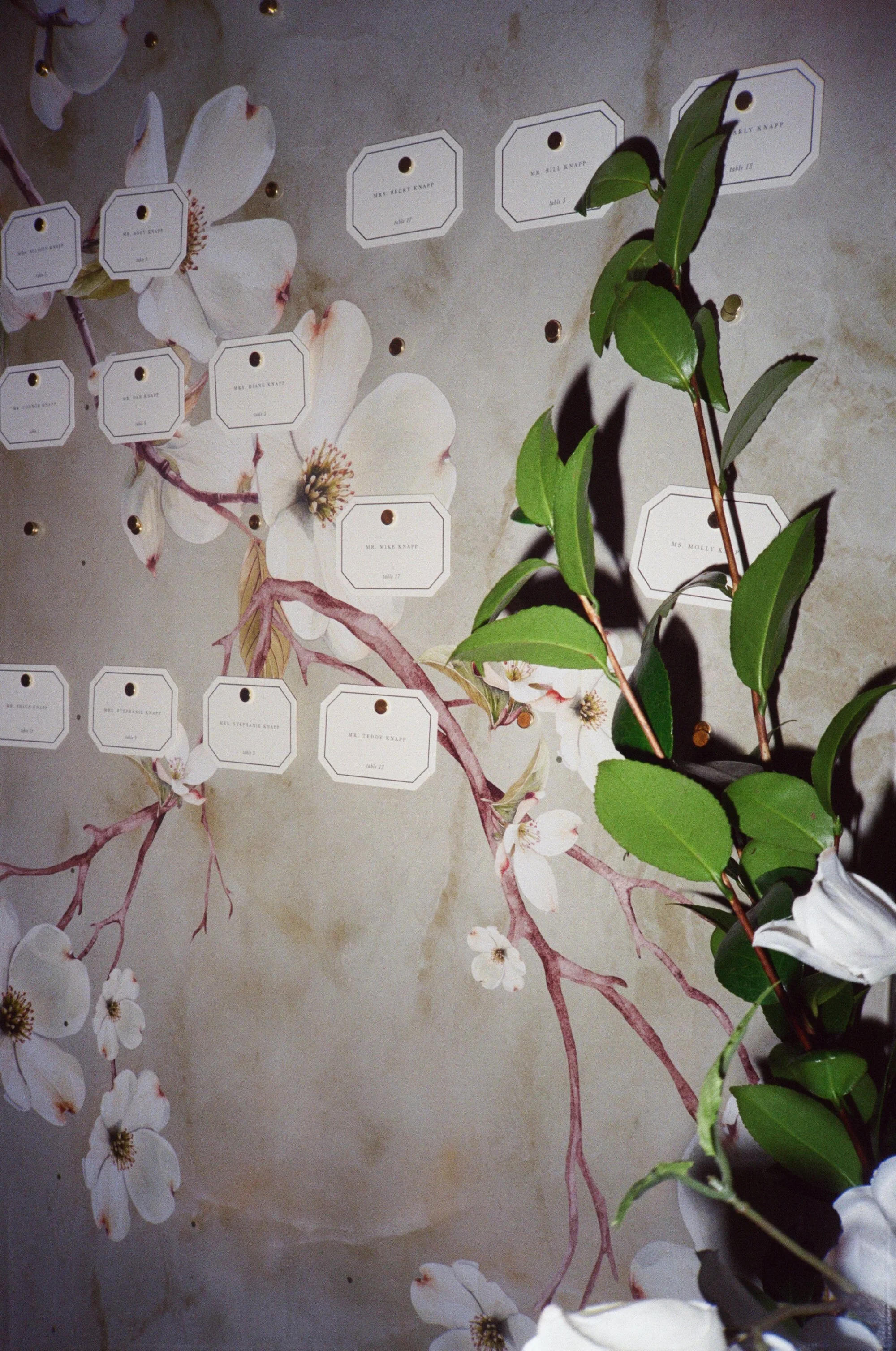 A wall decorated with white flower illustrations, small white boxes with black text and gold pins, and some green leaves in the foreground.