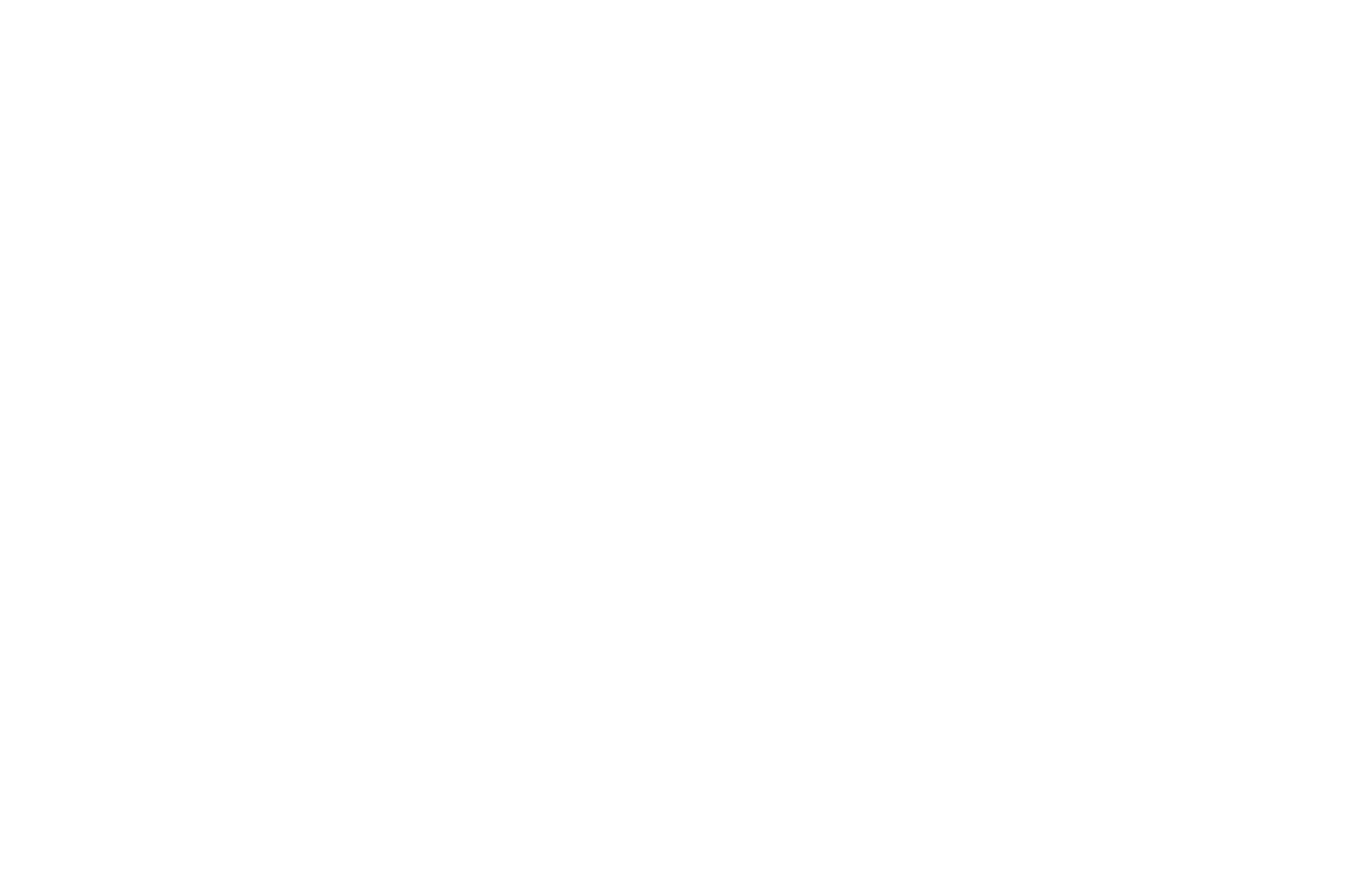 Black background with the phrase 'NO BRIDGES' in large white letters.