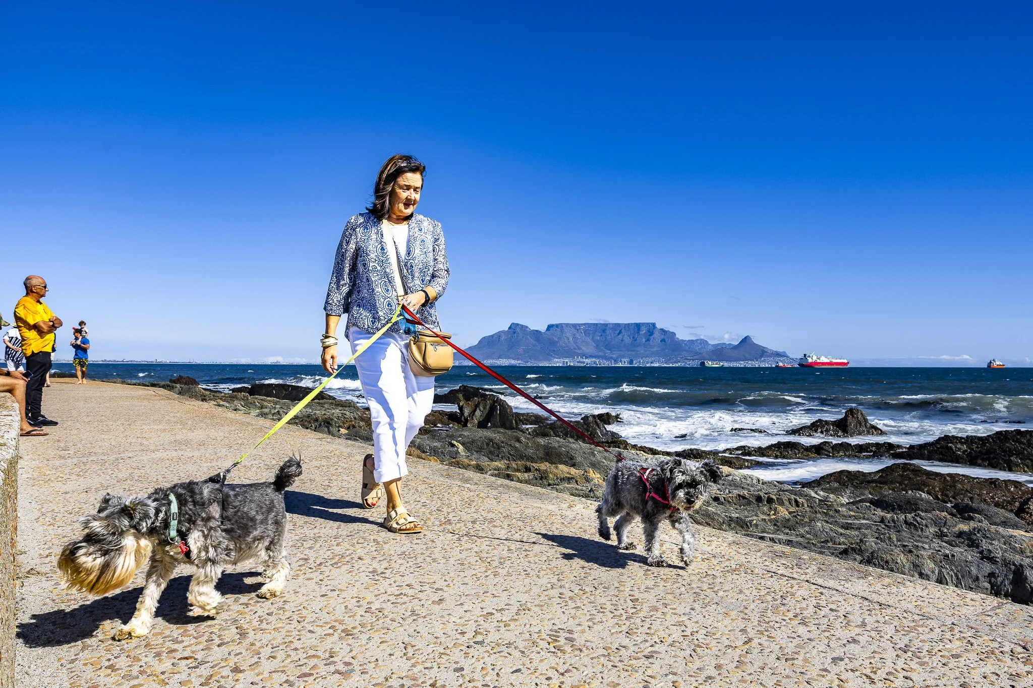 A woman walking dogs along a rocky beach with a mountain and ships in the background under a blue sky.
