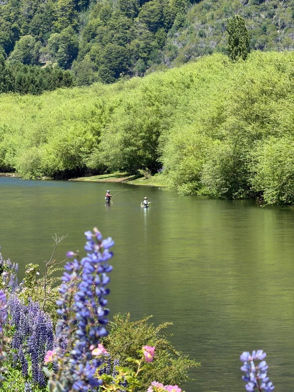 Dos personas pescando en un río rodeado de árboles verdes y flores moradas y rosas en primer plano.