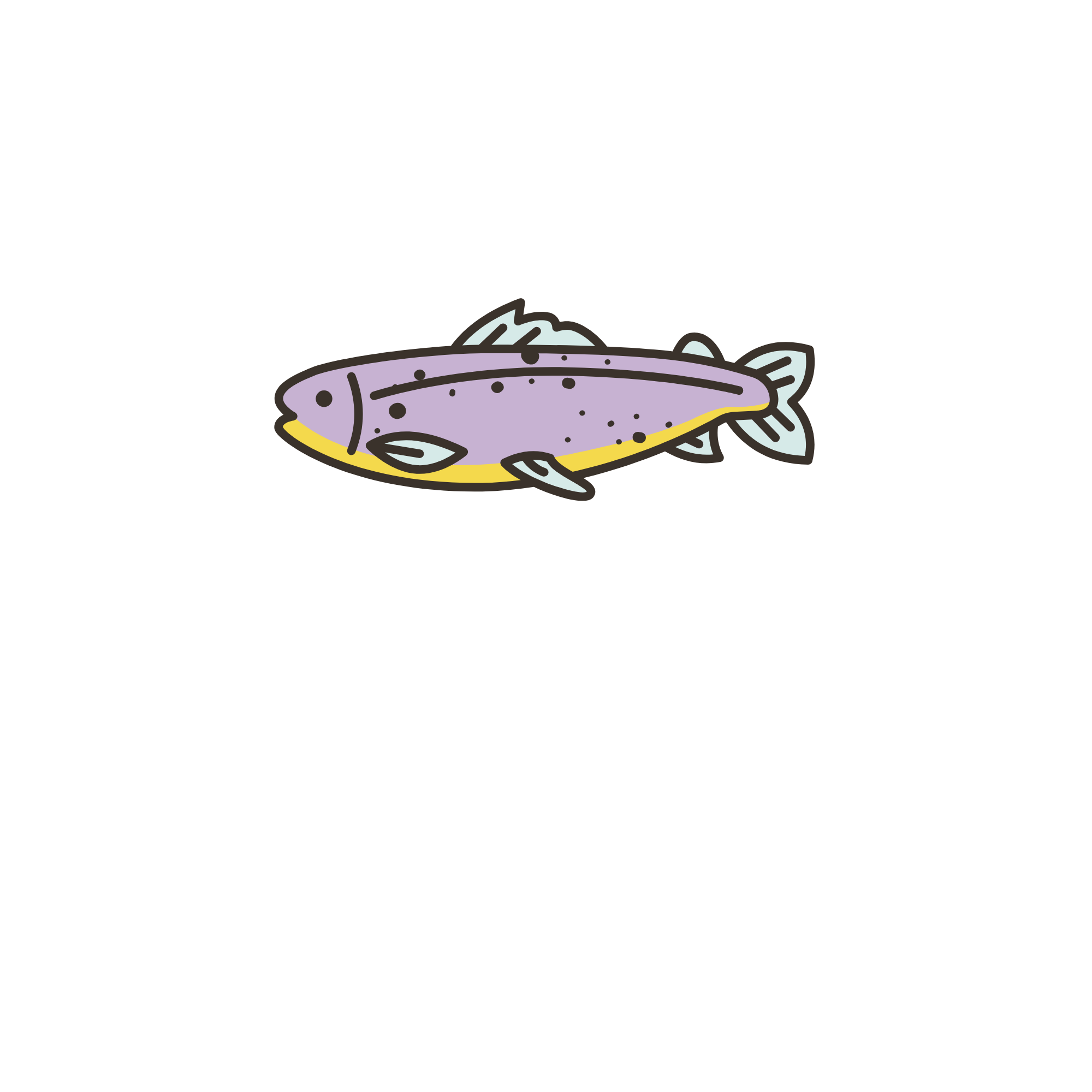 Terra Fishing, Logo, operacion de pesca femenina, pesca en la patagonia