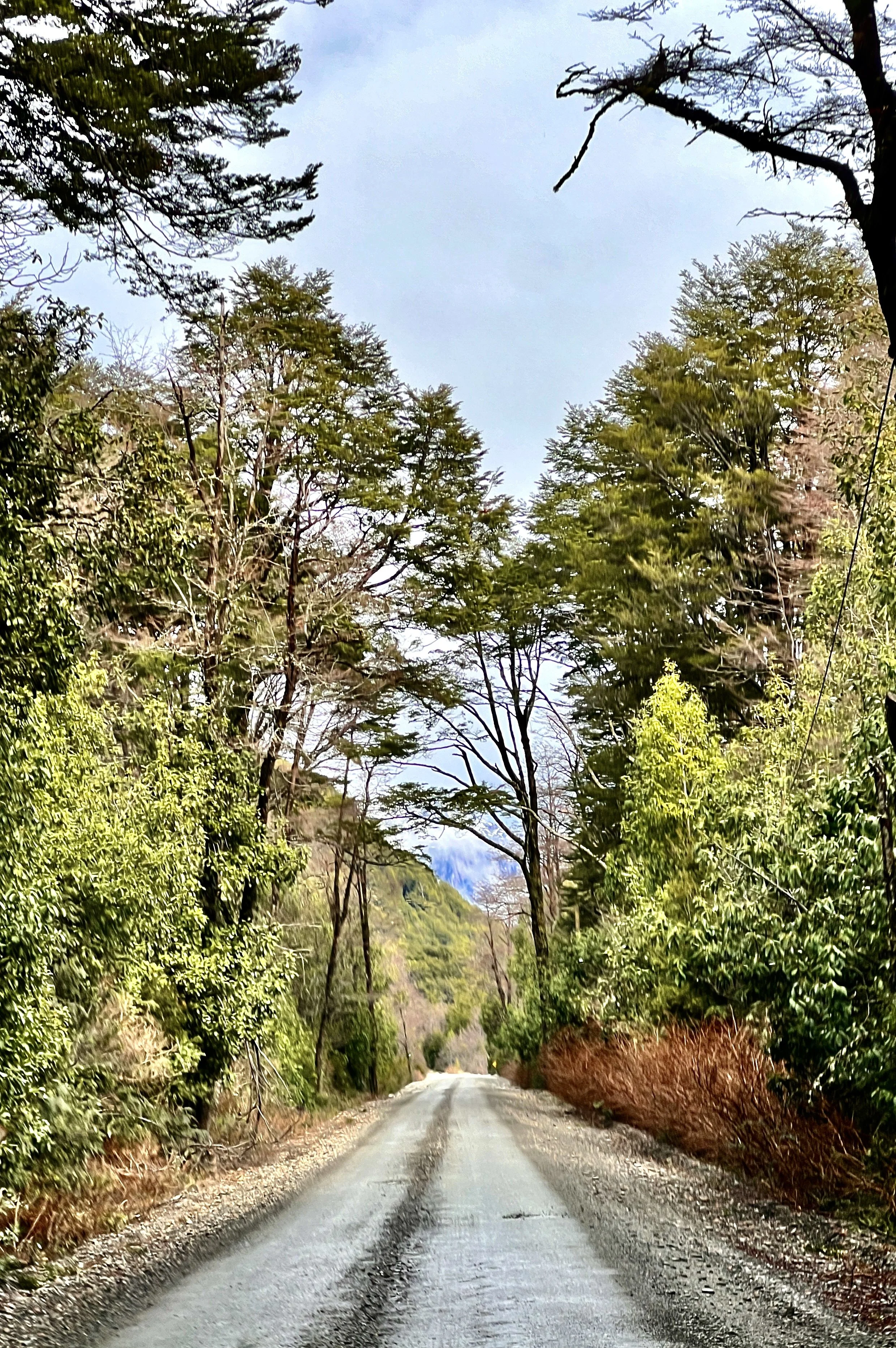 Carretera Austral