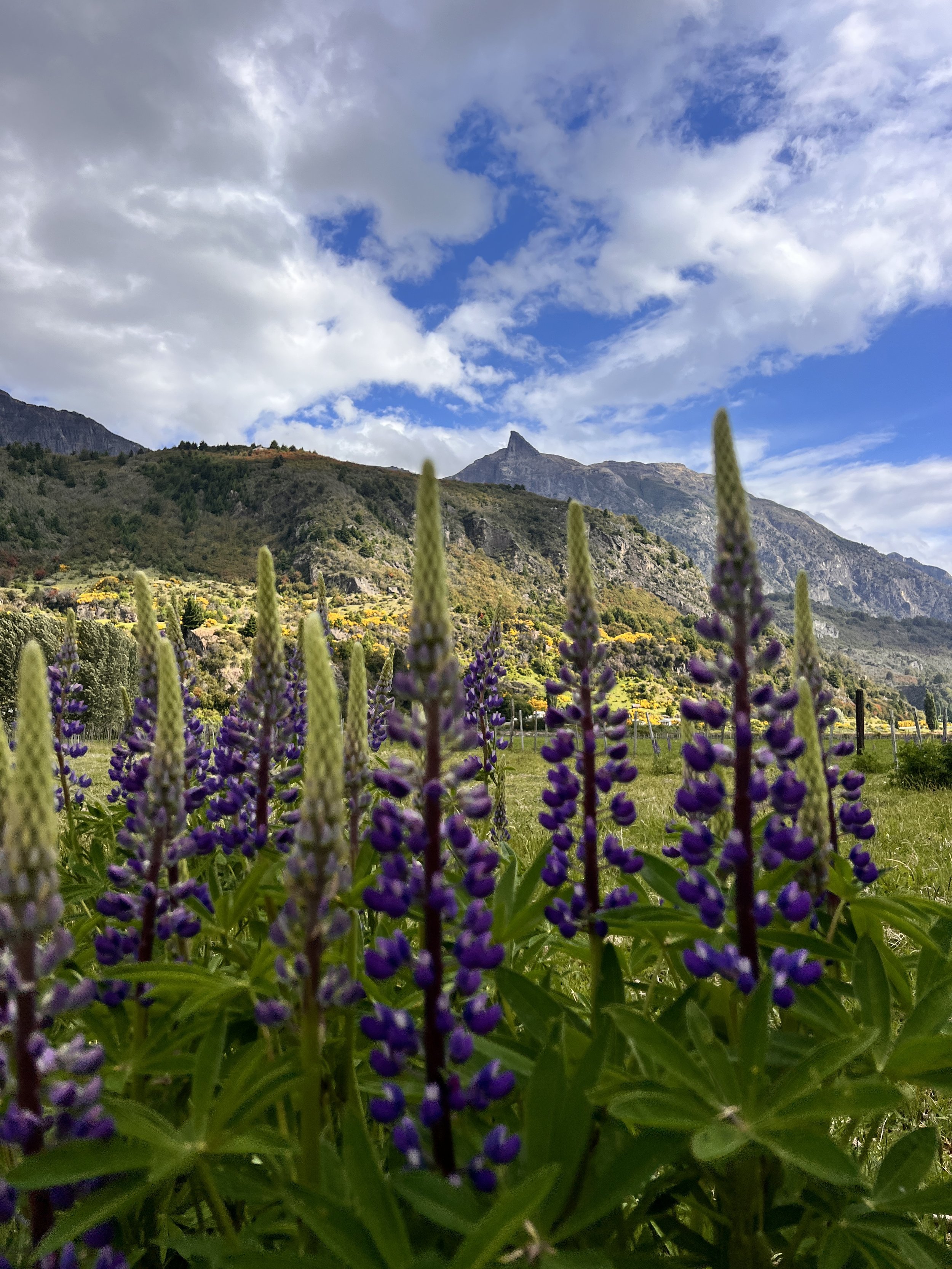 Patagonia - Aysén, Chile