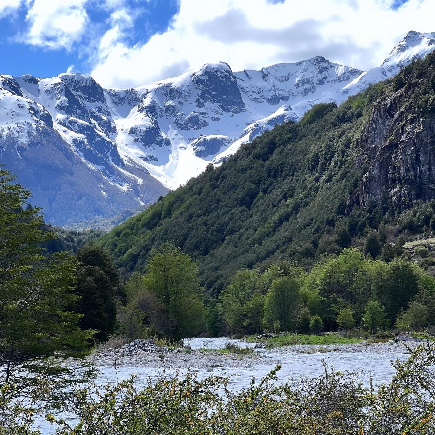 Paisaje de montañas cubiertas de nieve con bosque verde y río en primer plano.