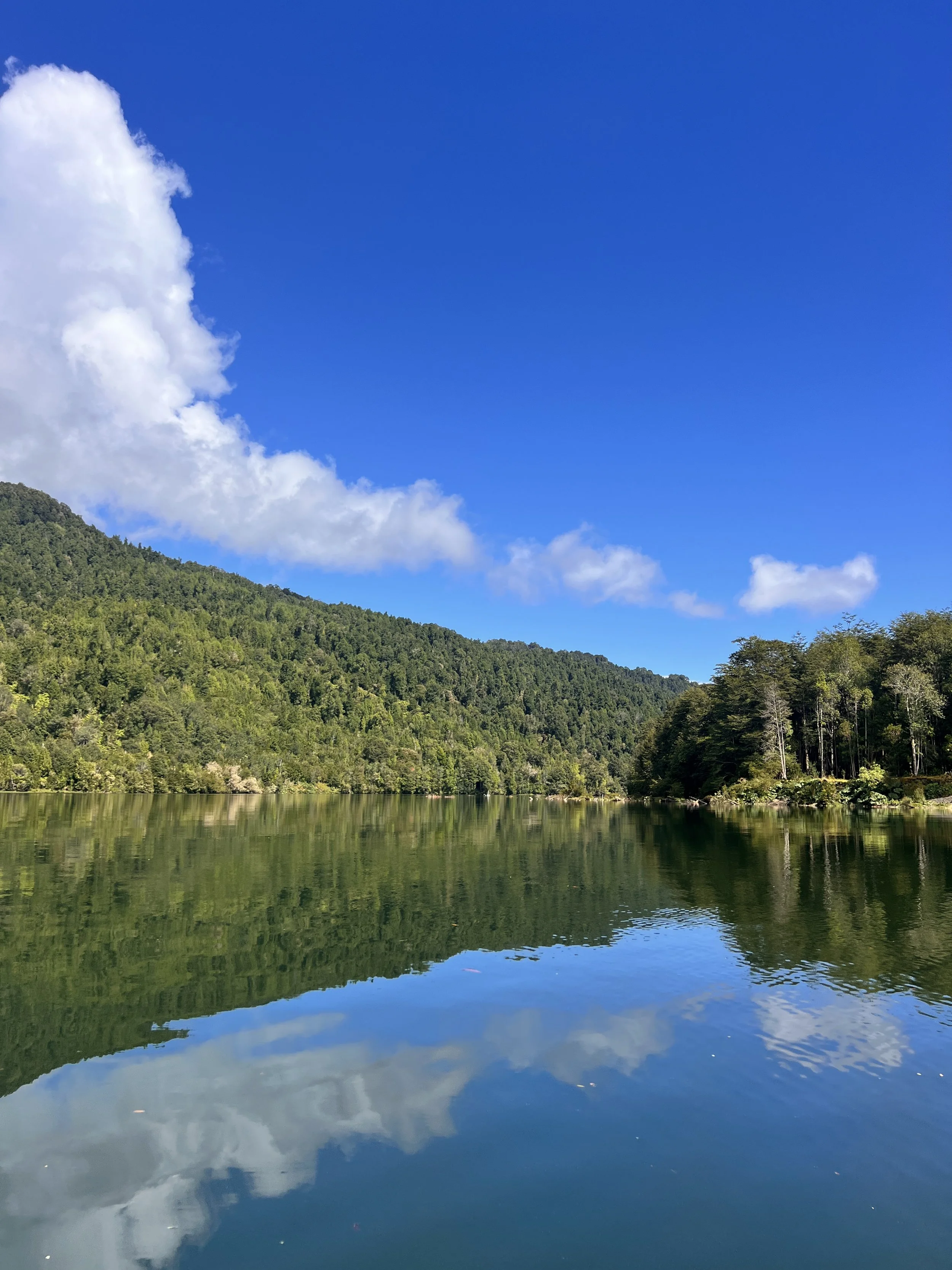 Paisajes patagonicos