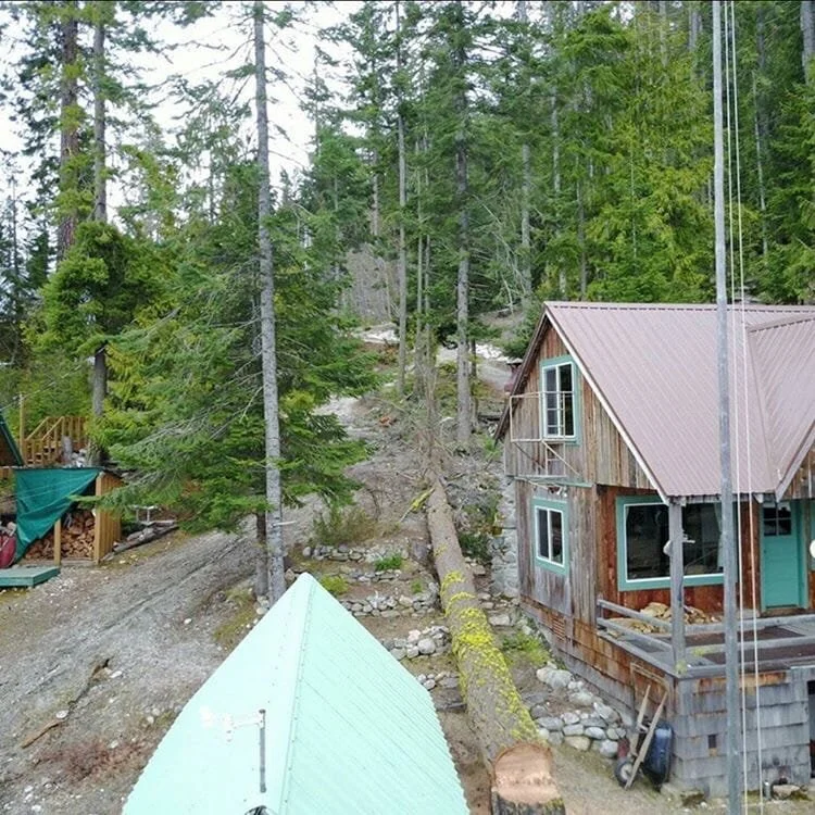 Large hazard tree fallen against a mountain cabin in dense conifer forest — hazard tree assessment and emergency removal services in Cody and Powell, WY